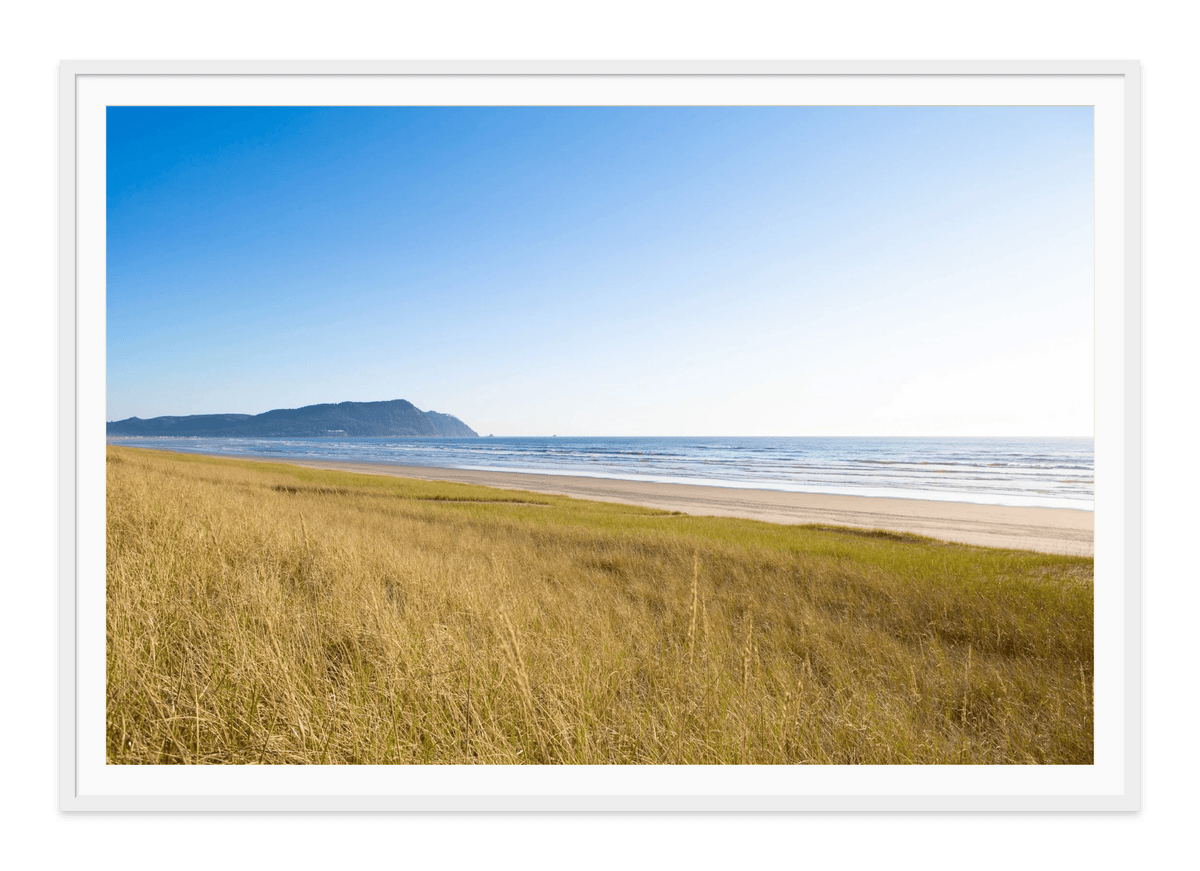 Grasses of Gearhart Beach fine art print in a white frame with white mat, by Jules Frazier.