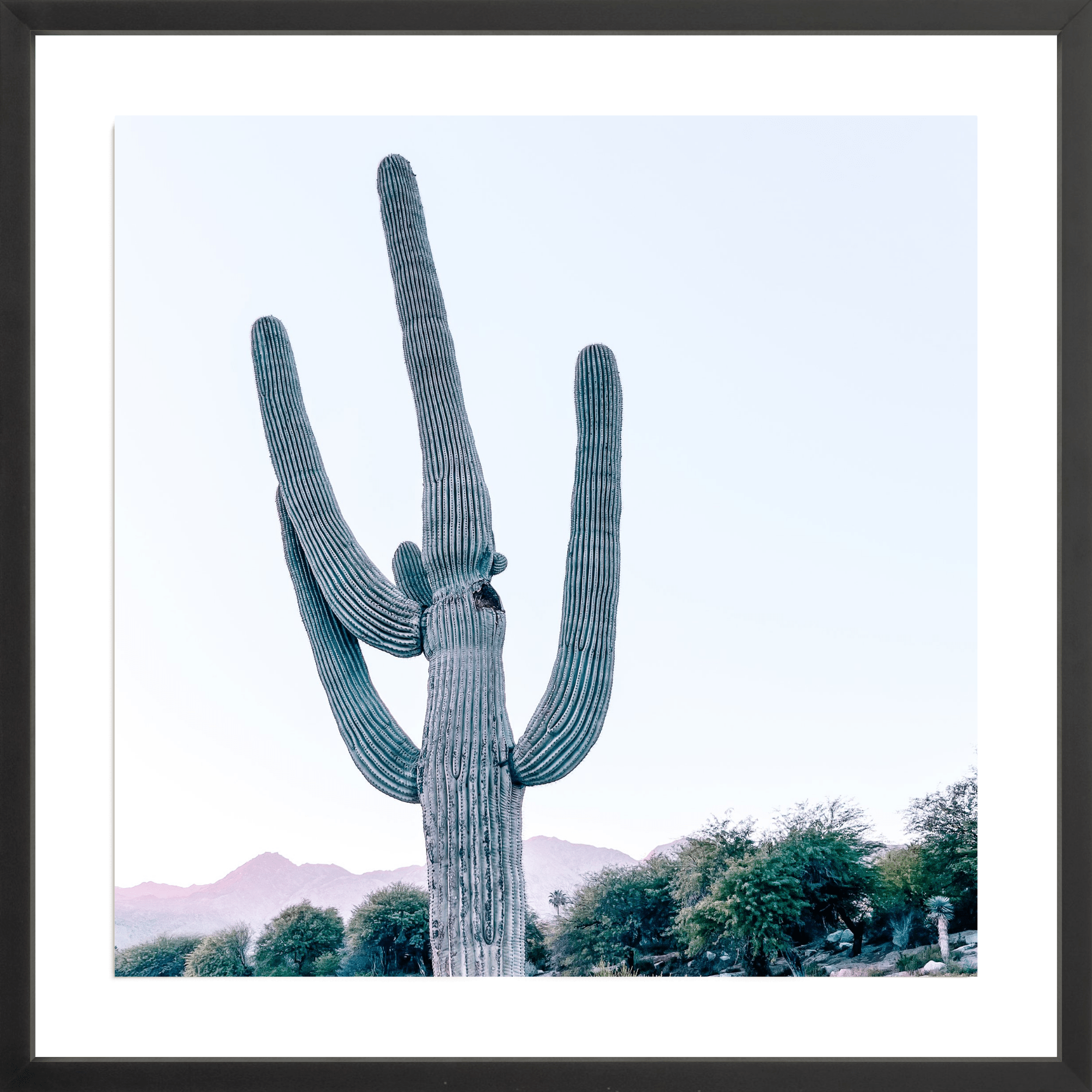 - Jules Frazier Fine Art Photographs