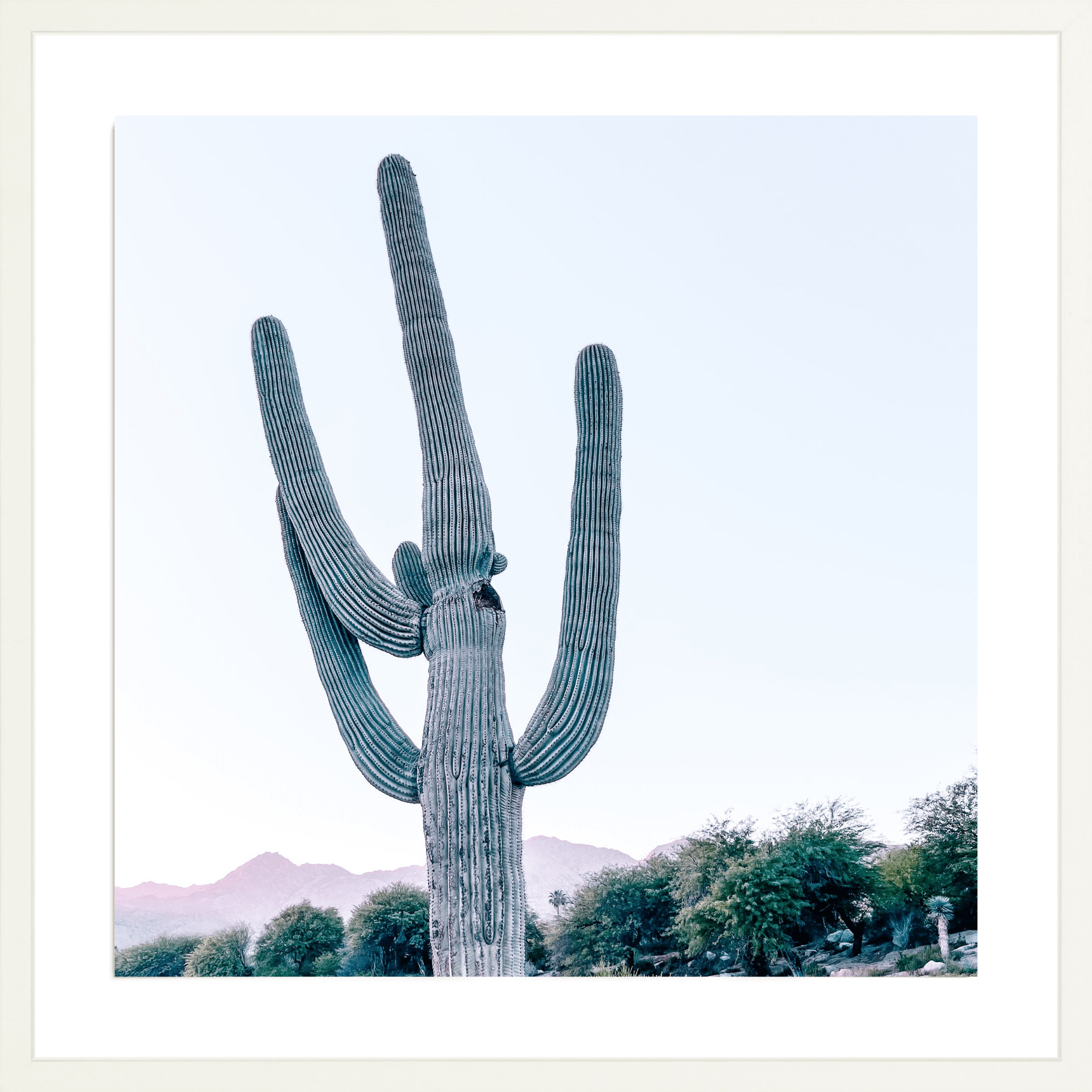 - Jules Frazier Fine Art Photographs