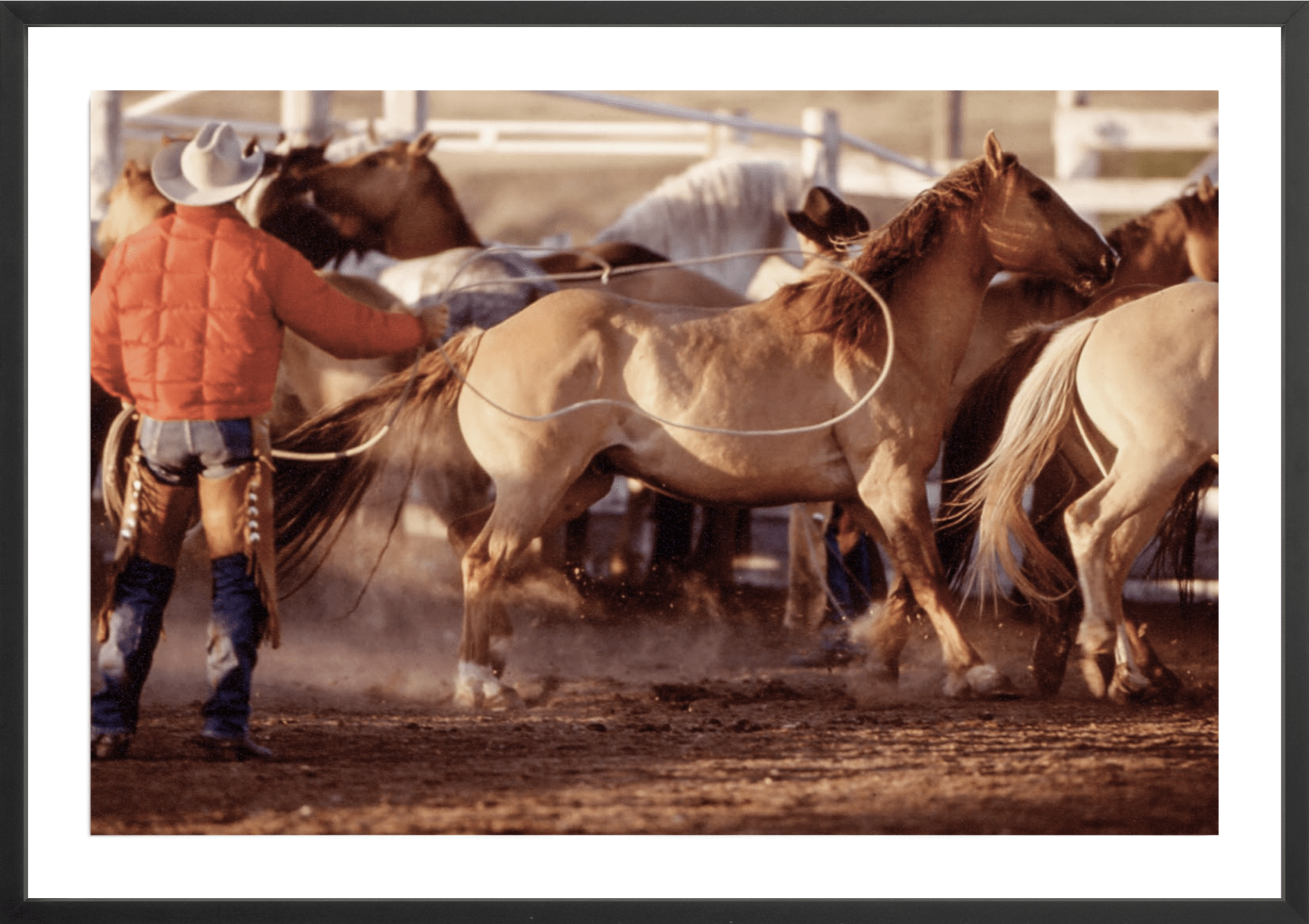 Binion's Ranch Round-Up