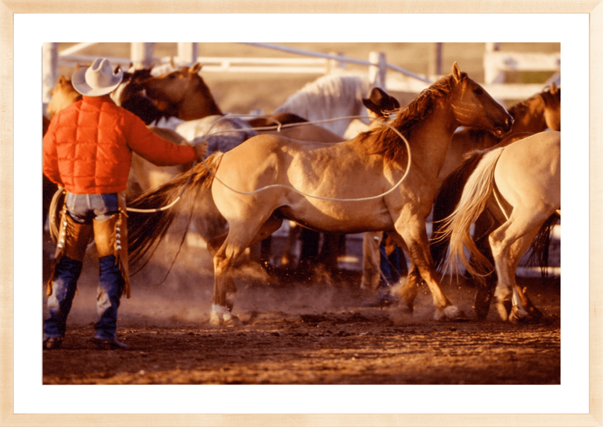 - Jules Frazier Fine Art Photographs