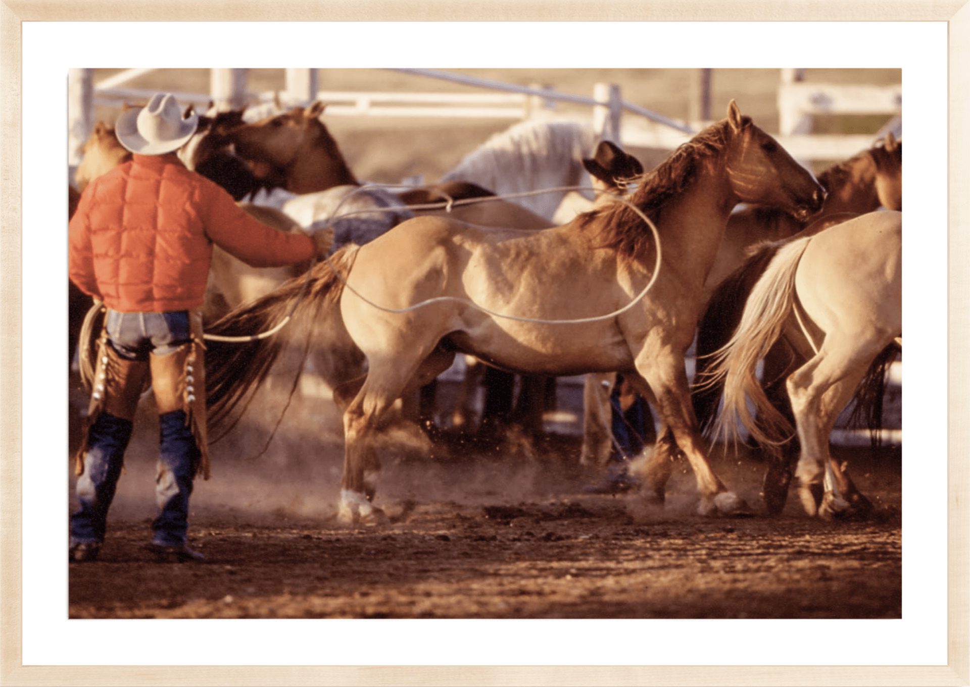 Binion's Ranch Round-Up