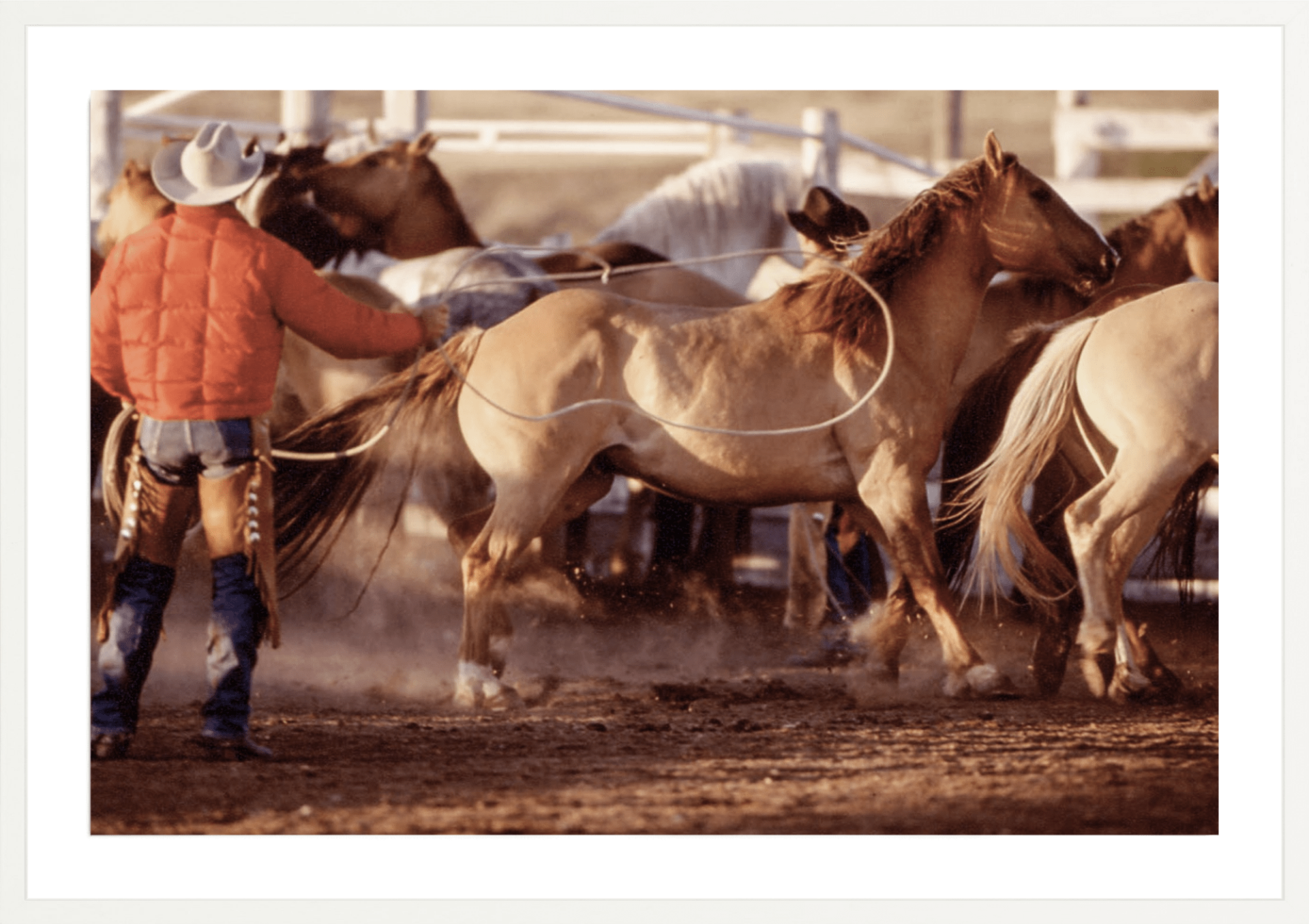 Binion's Ranch Round-Up
