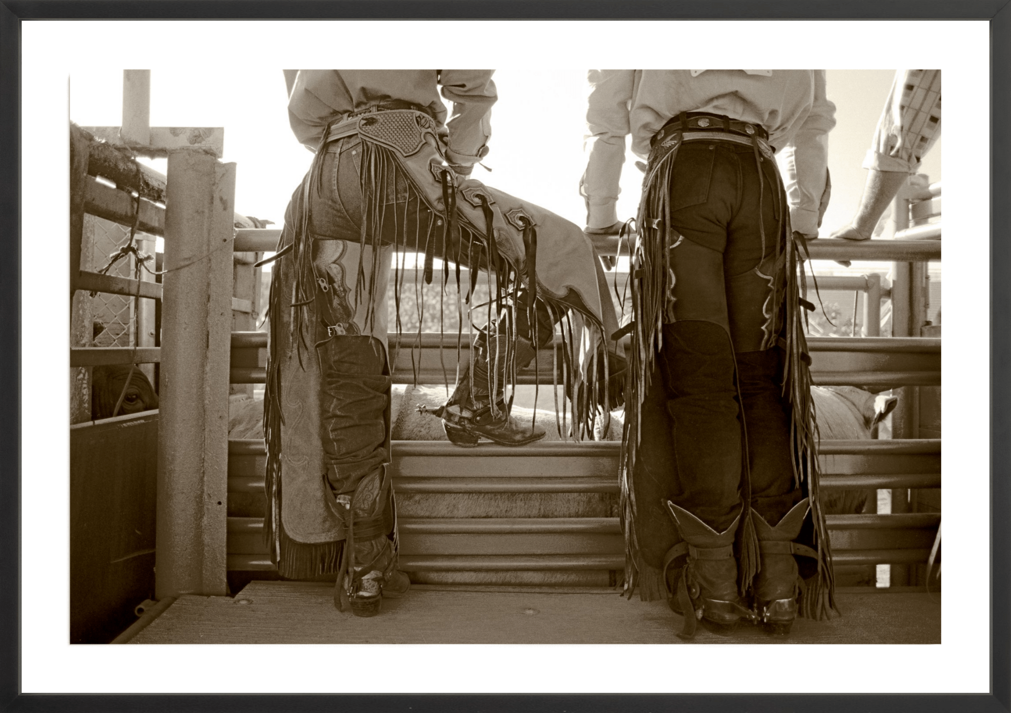 Checkin' Out The Stock, Jules Frazier Fine Art Photograph