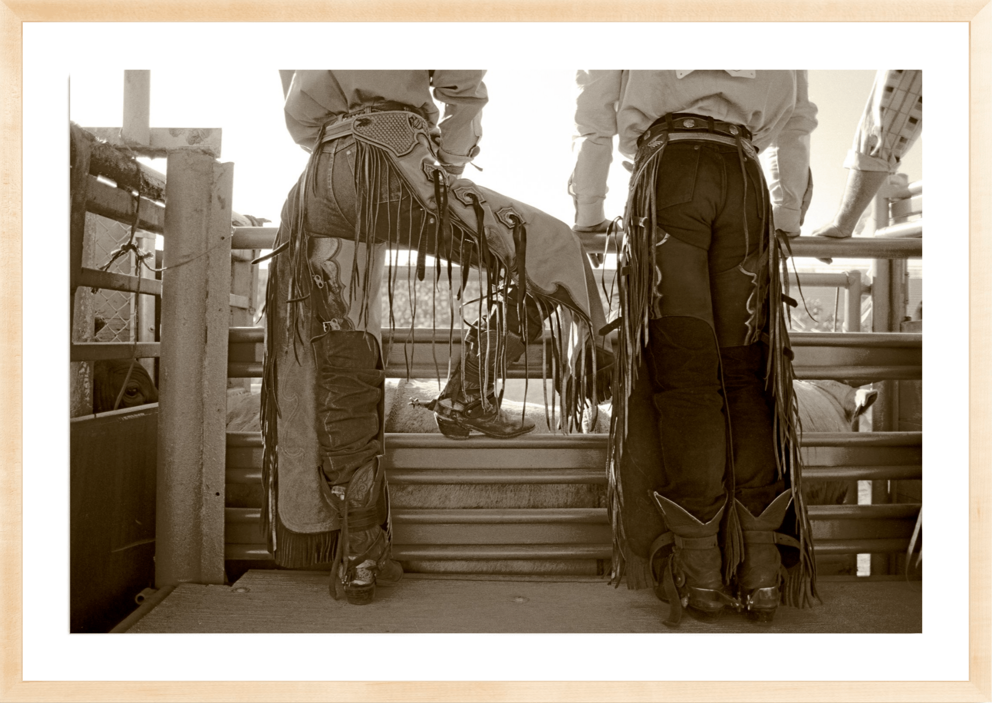 Checkin' Out The Stock, Jules Frazier Fine Art Photograph