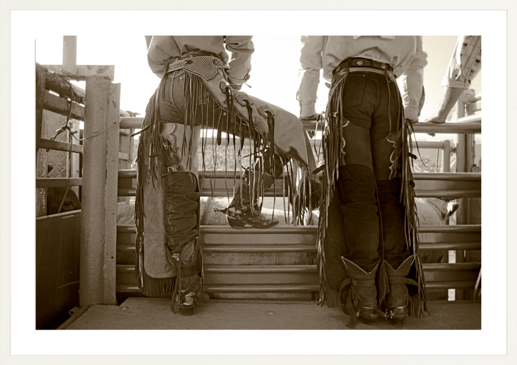 Checkin' Out The Stock, Jules Frazier Fine Art Photograph