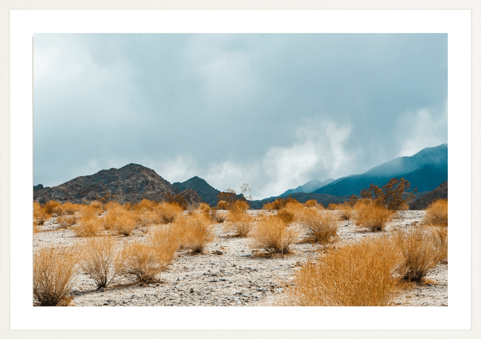 Desert Color, Jules Frazier Fine Art Photograph