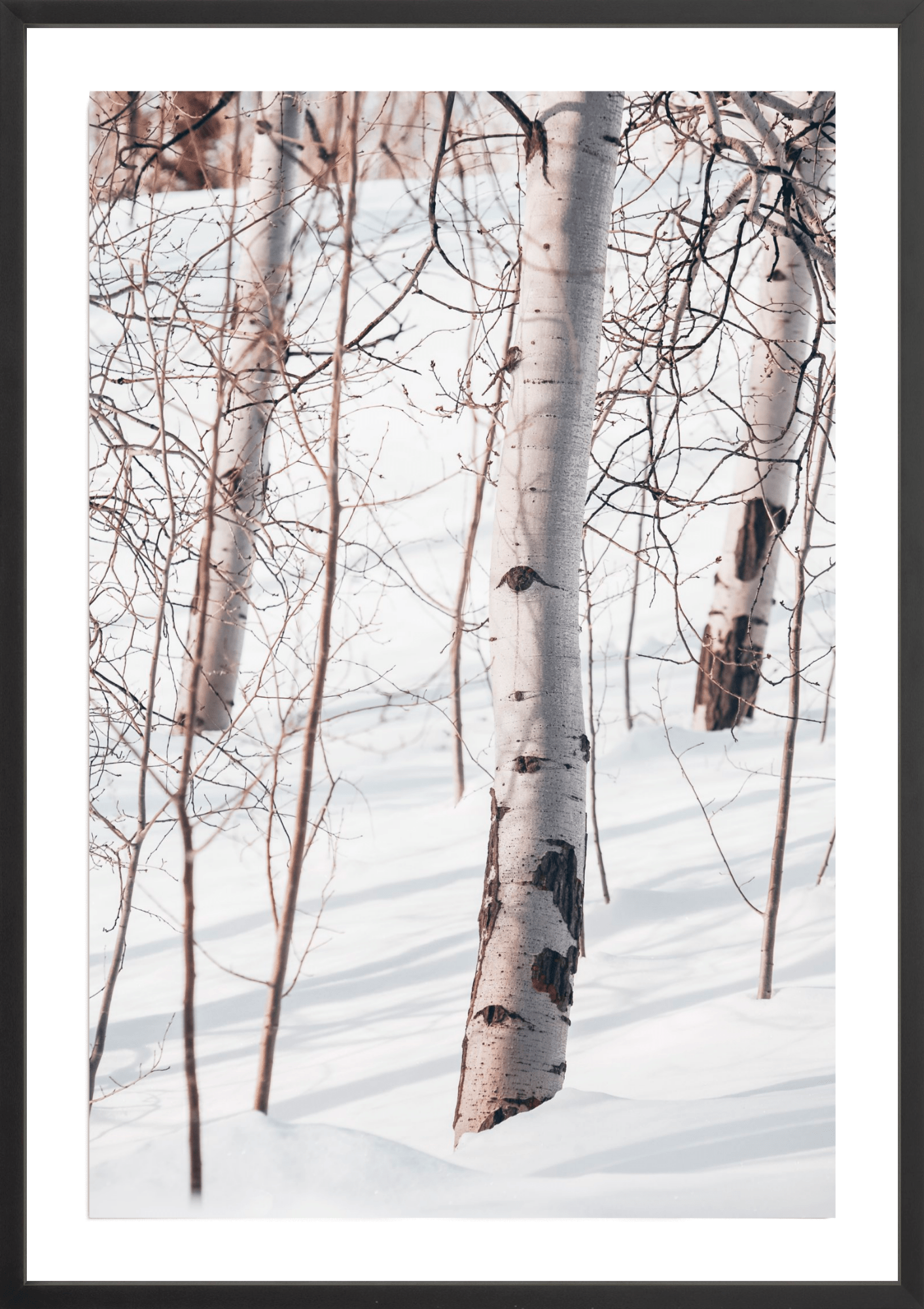 Eyeliner, Jules Frazier Fine Art Photograph