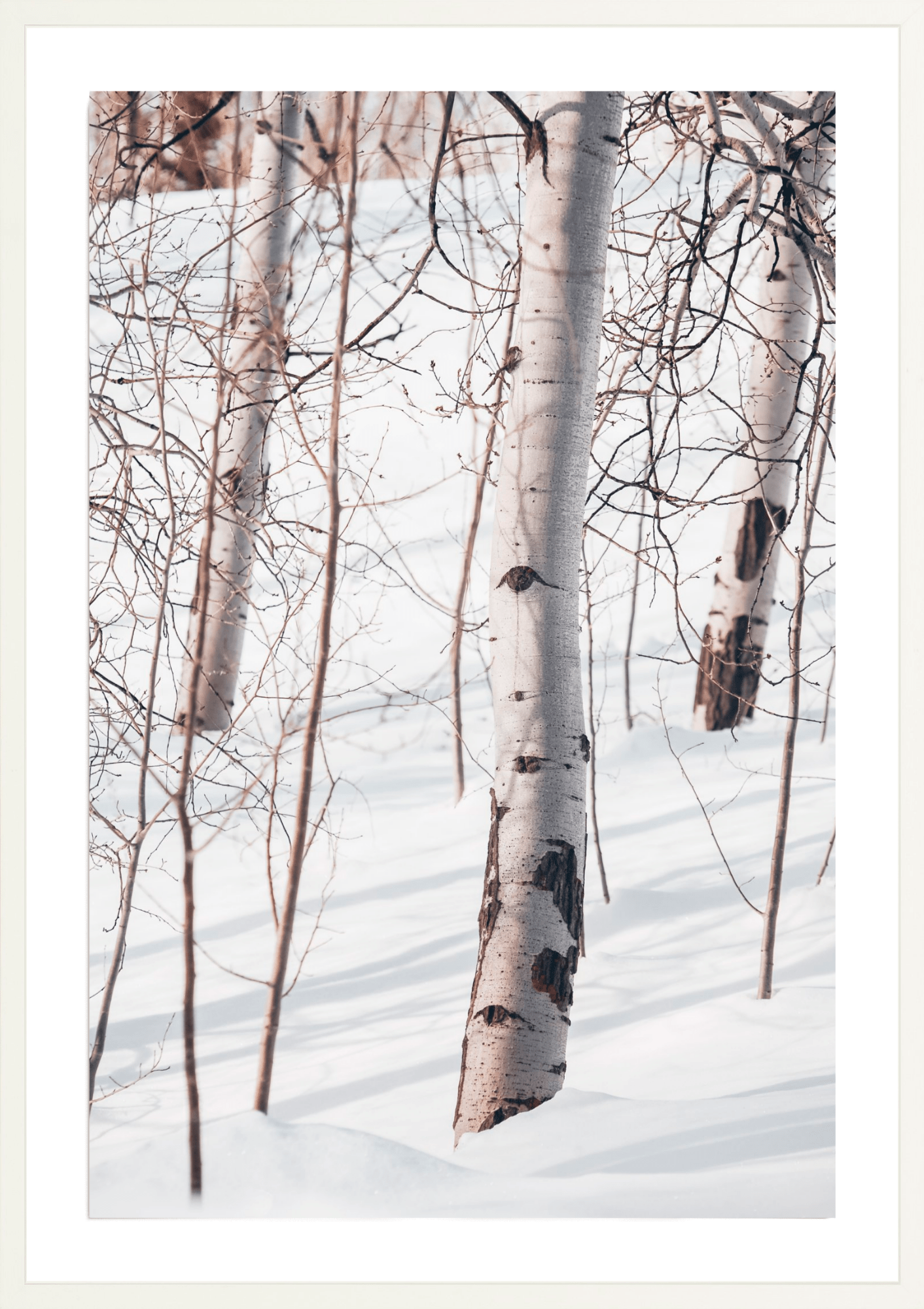 Eyeliner, Jules Frazier Fine Art Photograph