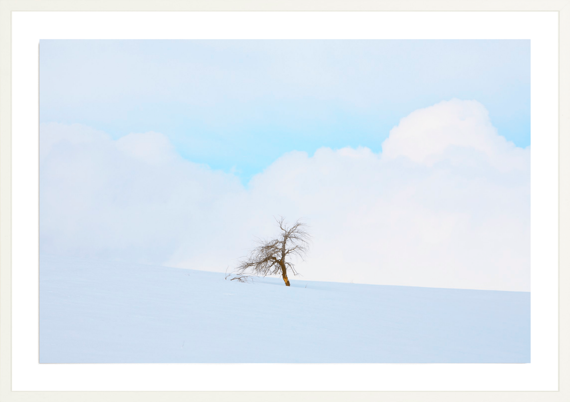 Hill City Homestead, Jules Frazier Fine Art Photograph