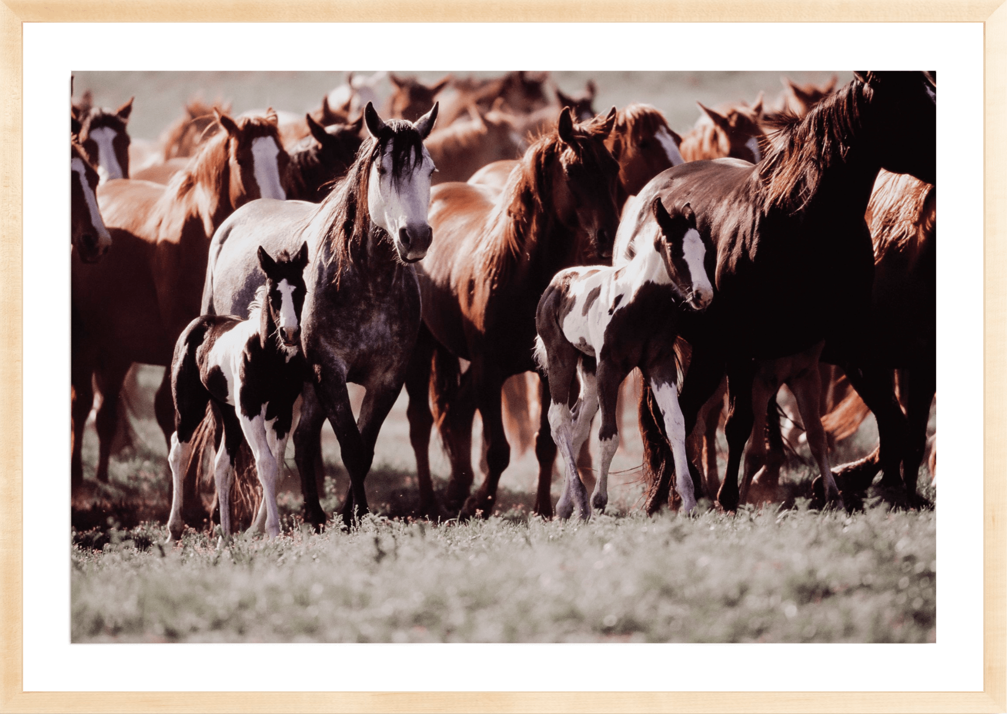 Horse Dreams, Jules Frazier Fine Art Photograph