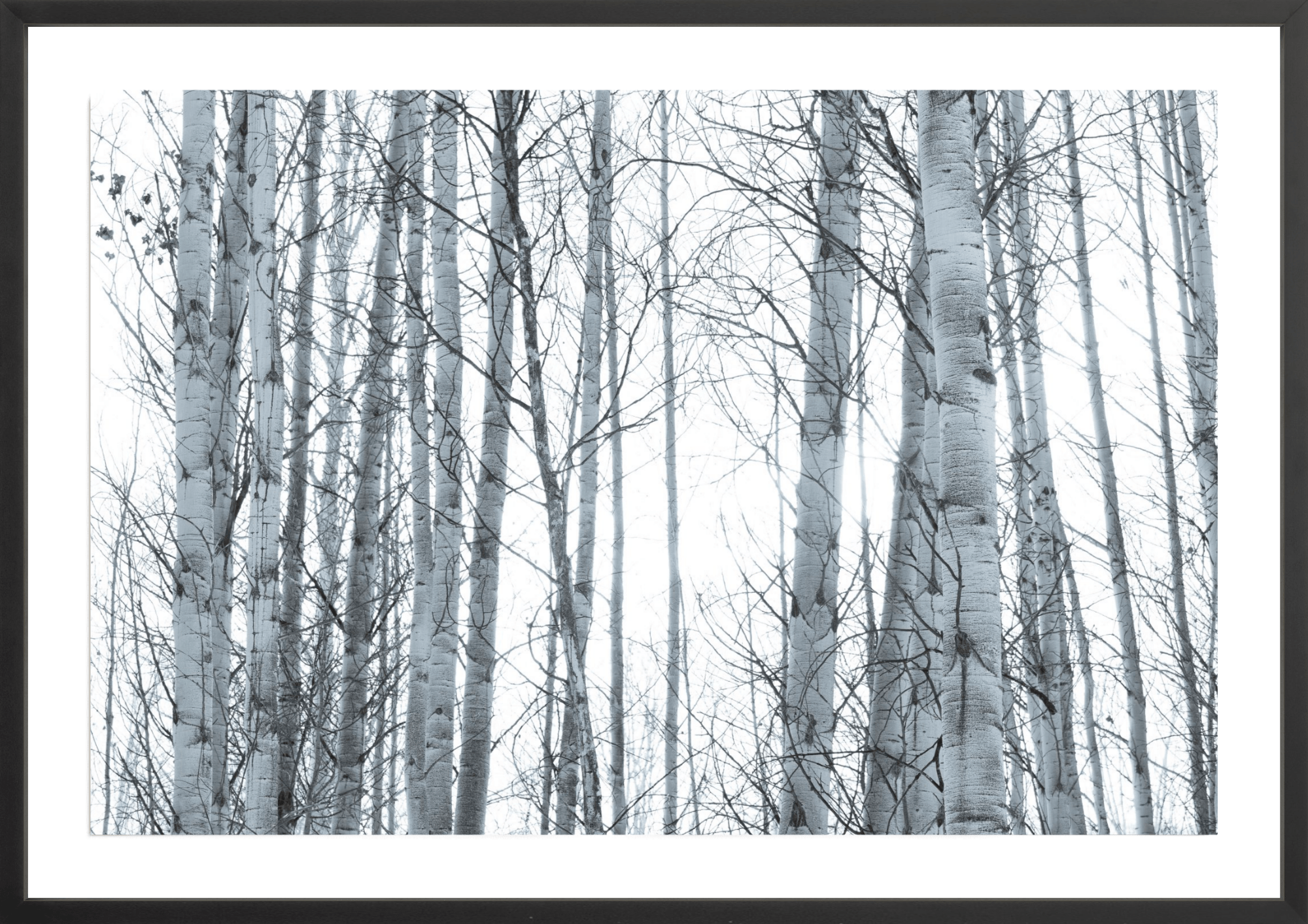 In Your Eyes, Jules Frazier Fine Art Photograph