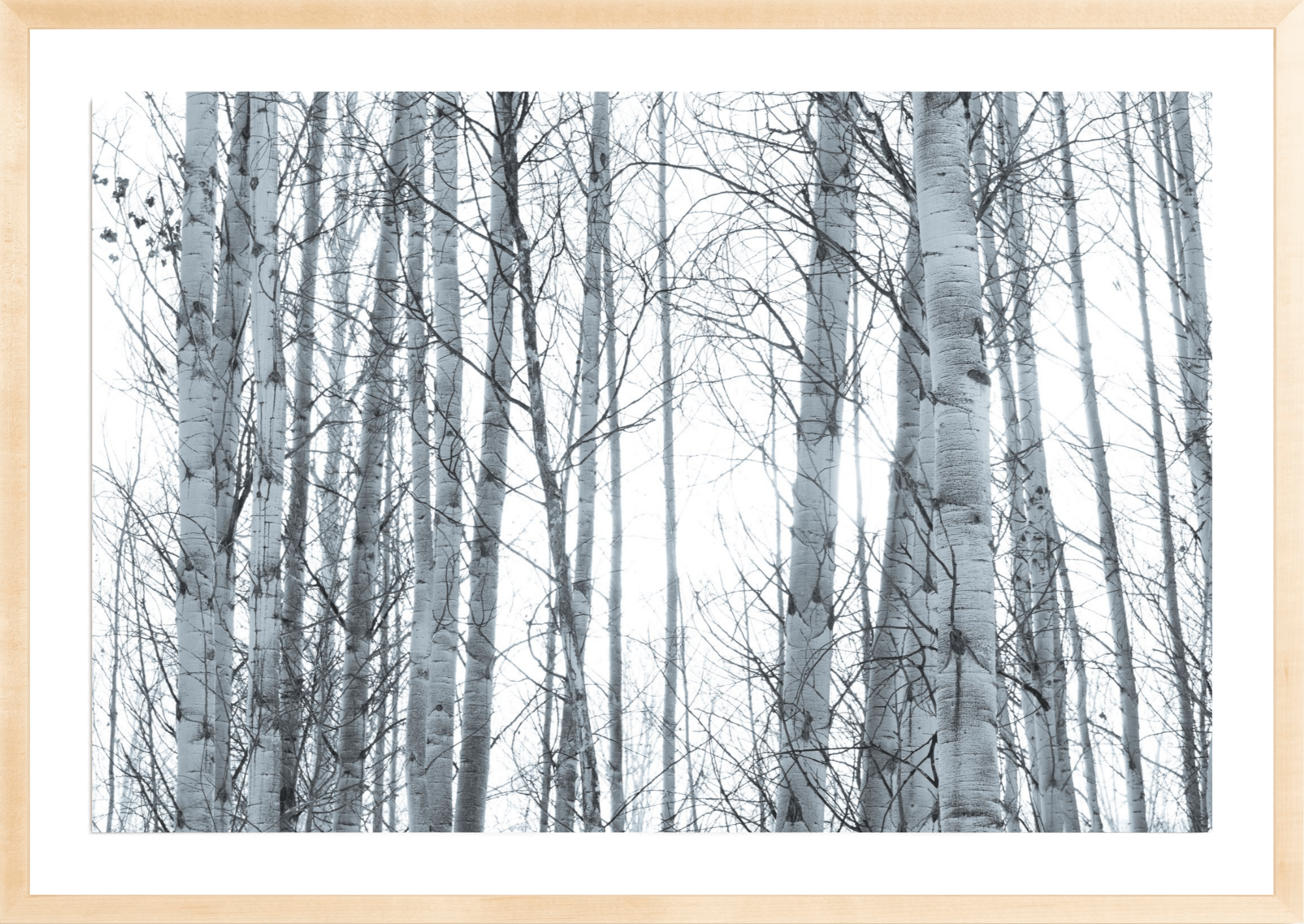 In Your Eyes, Jules Frazier Fine Art Photograph