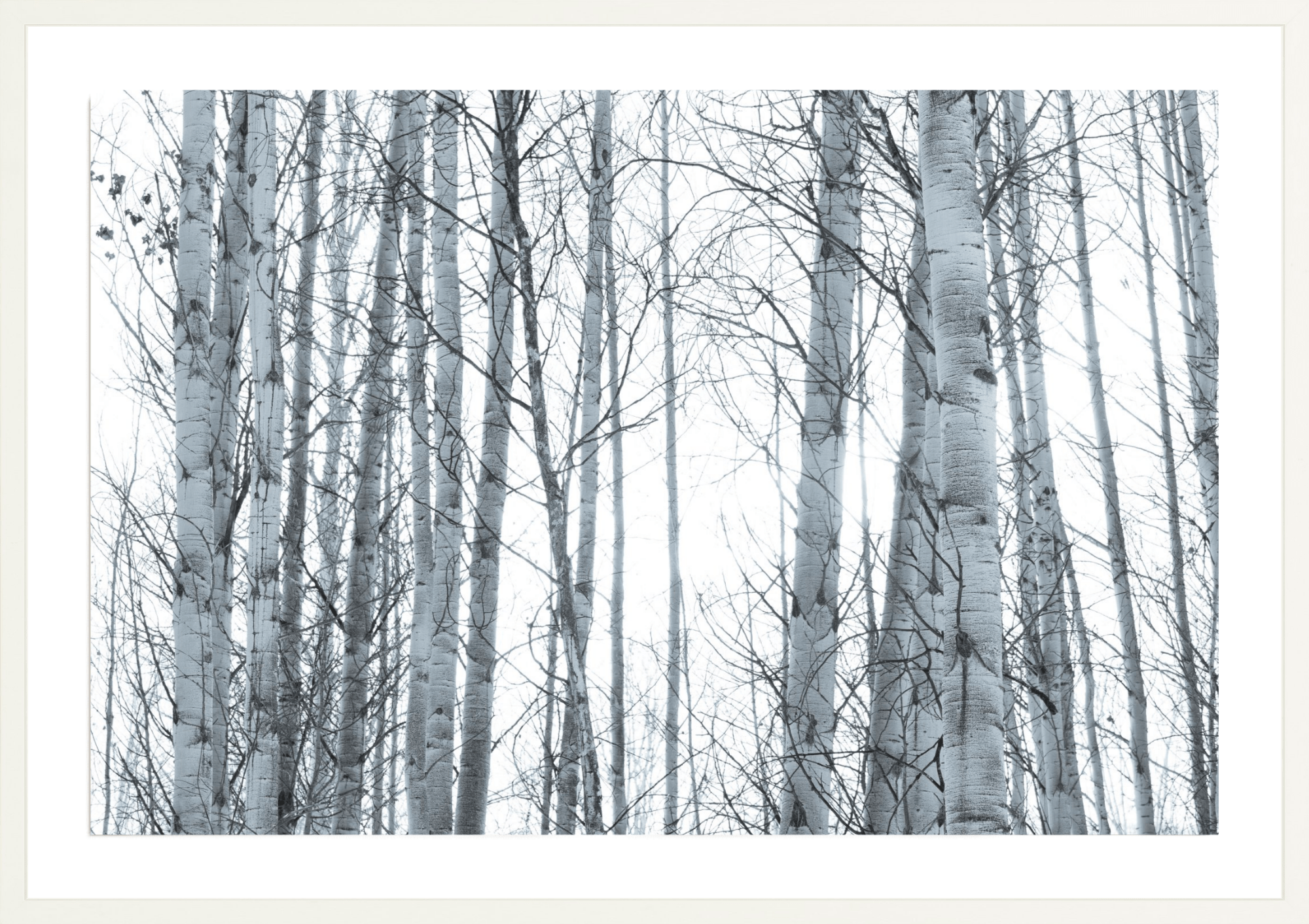 In Your Eyes, Jules Frazier Fine Art Photograph