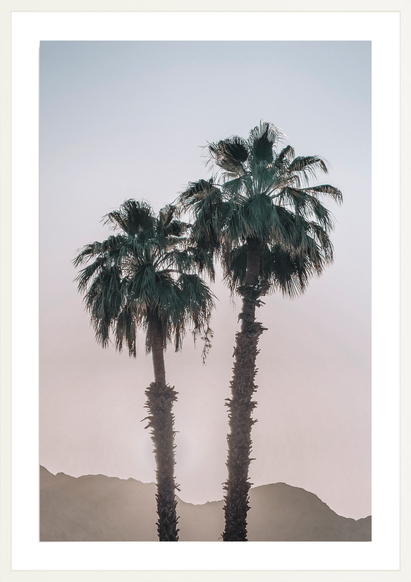 La Quinta Palms, Jules Frazier Fine Art Photograph