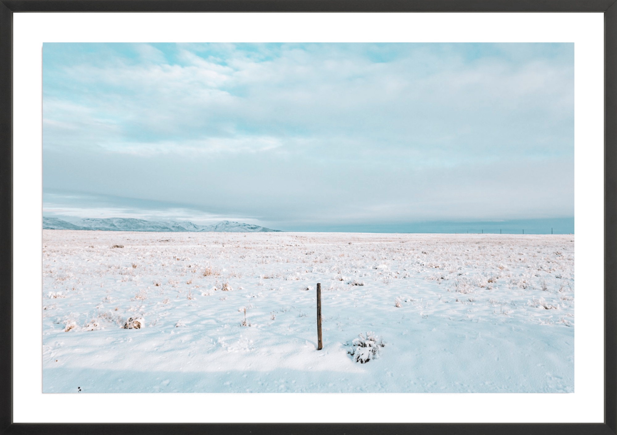 Last One Standing, Jules Frazier Fine Art Photograph