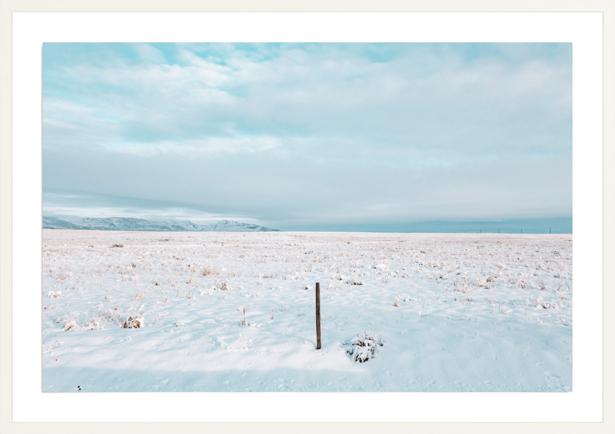 Last One Standing, Jules Frazier Fine Art Photograph
