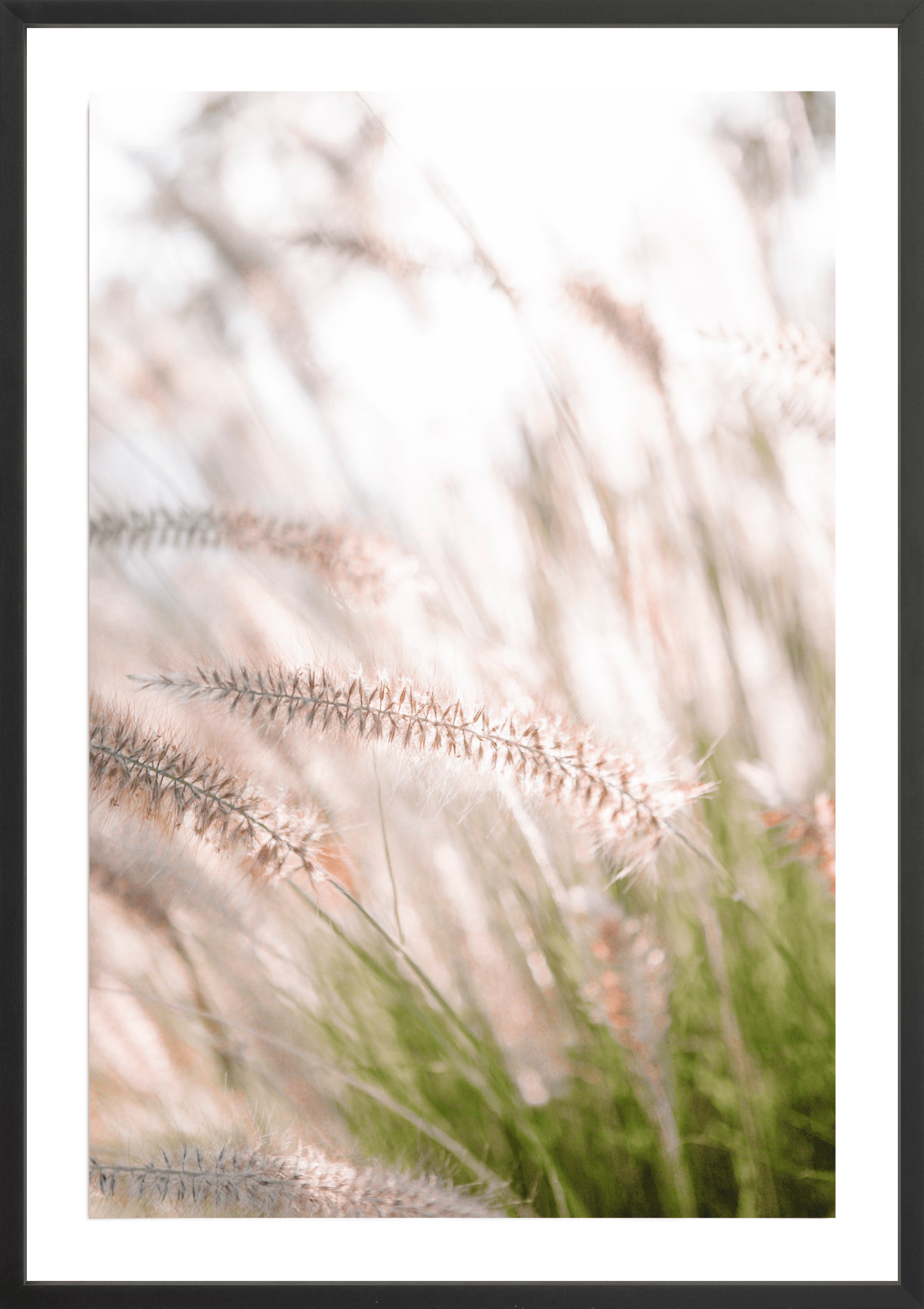 Lavender No.1, Jules Frazier Fine Art Photograph