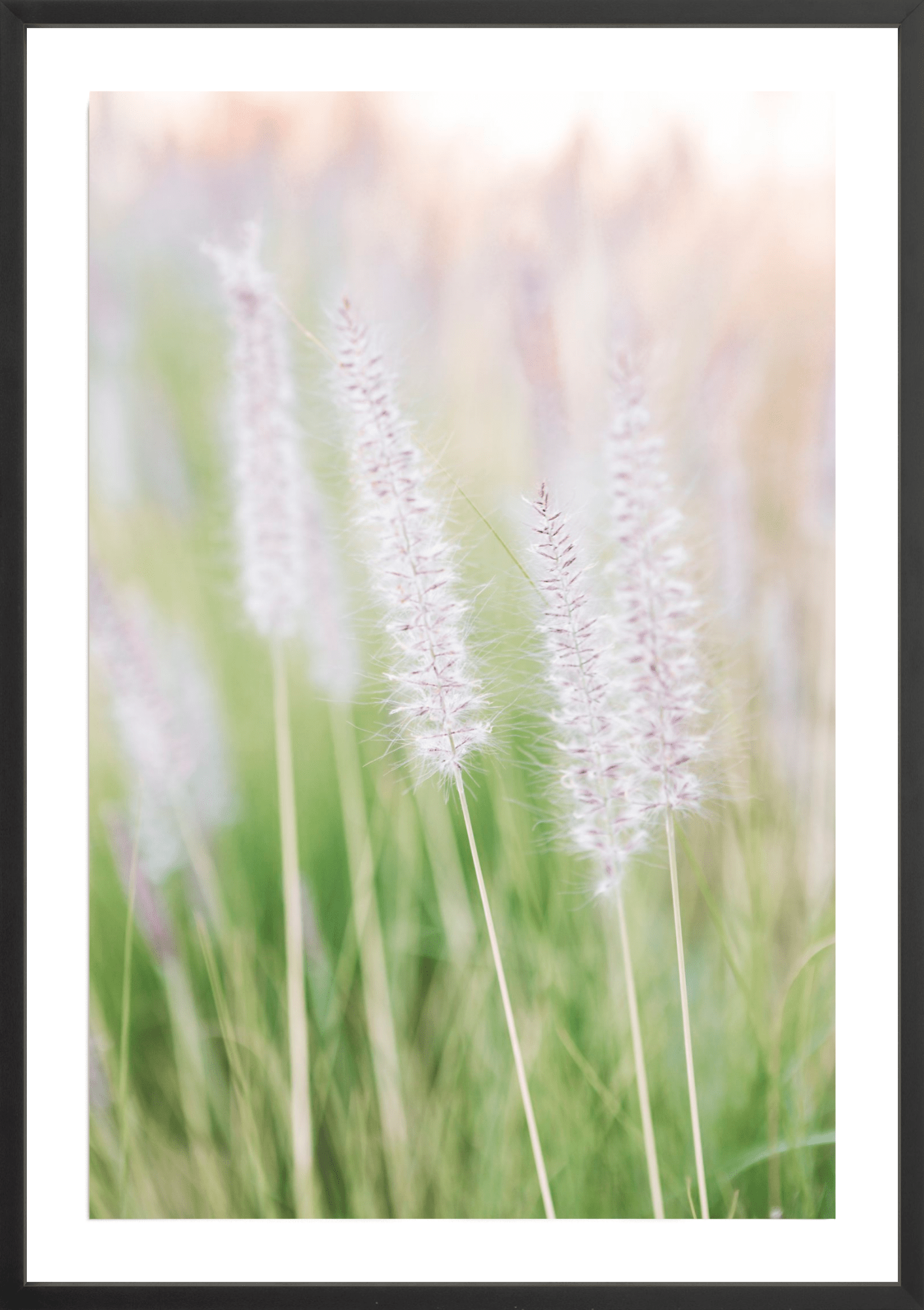 Lavender No.2, Jules Frazier Fine Art Photograph
