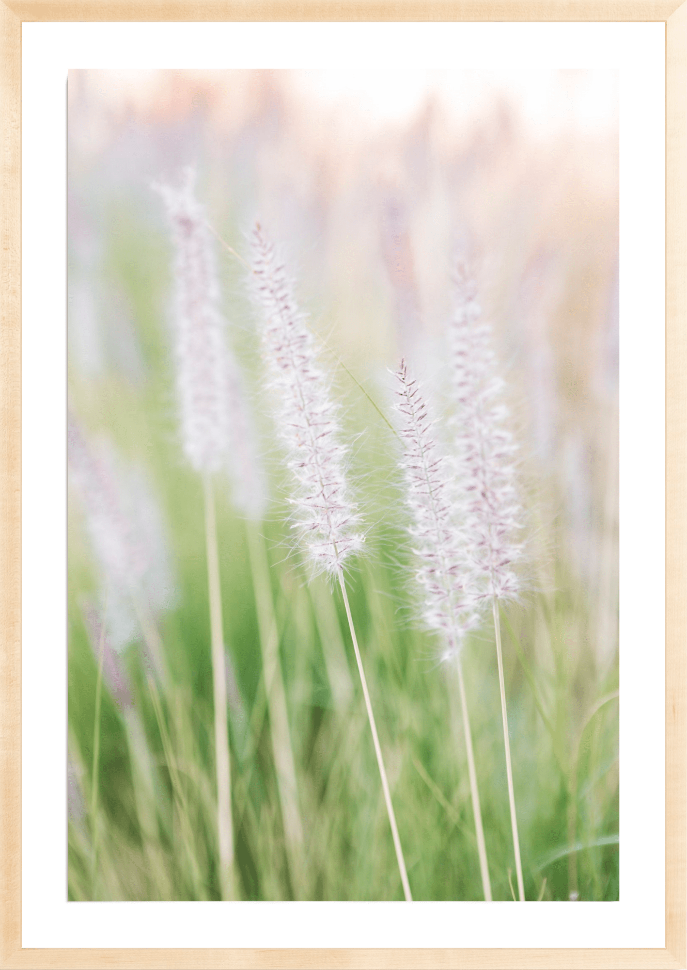 Lavender No.2, Jules Frazier Fine Art Photograph
