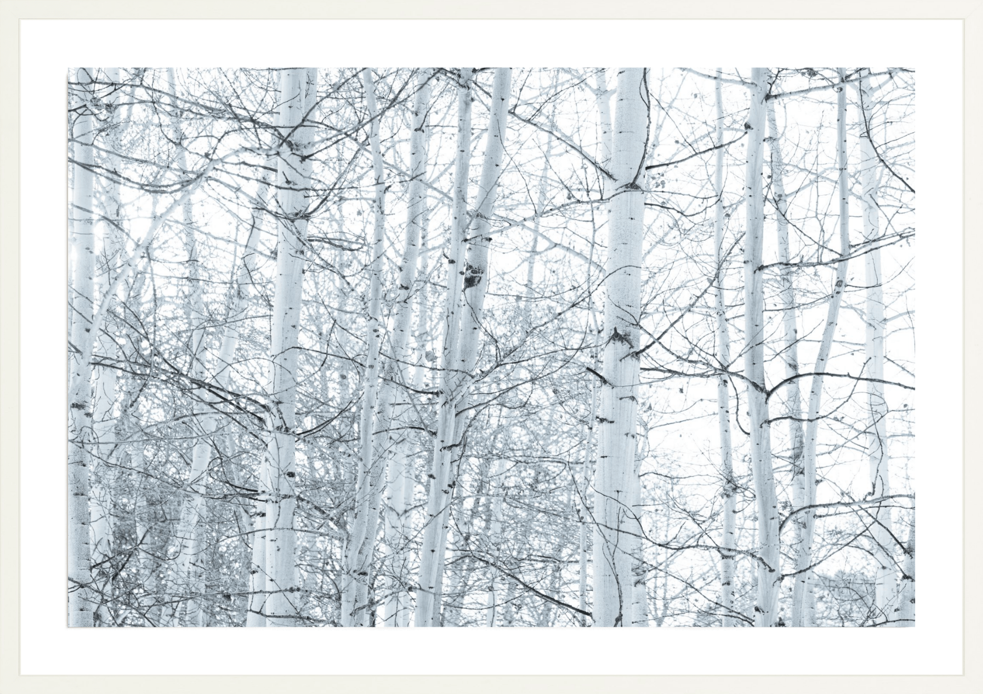 Love the One You're With, Jules Frazier Fine Art Photograph