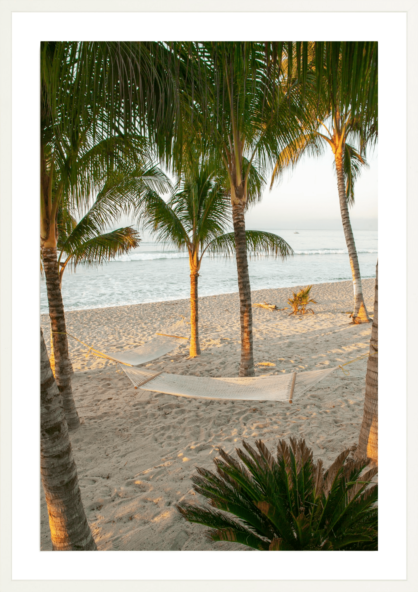 Margaritaville, Jules Frazier Fine Art Photograph