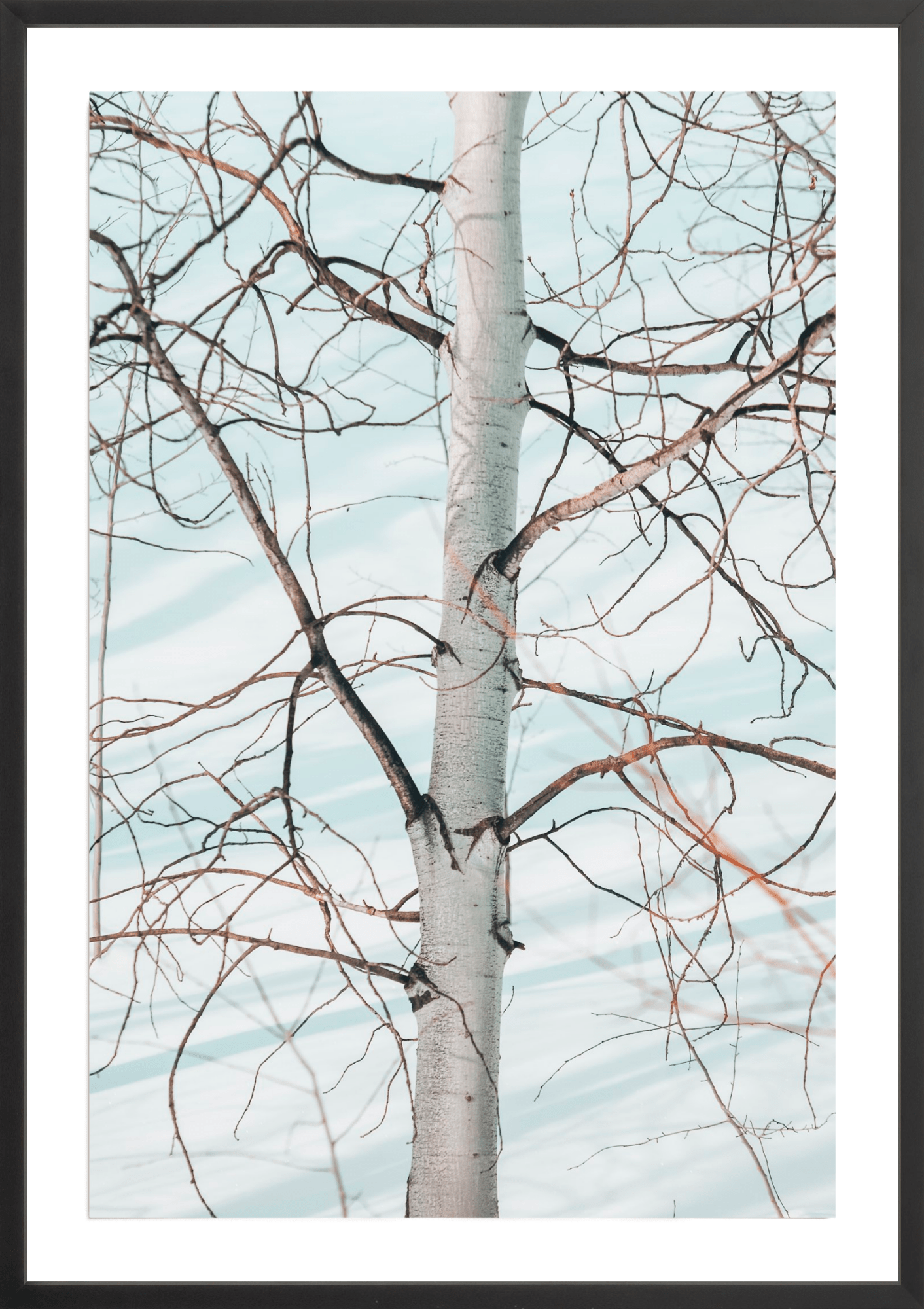 Networked, Jules Frazier Fine Art Photograph