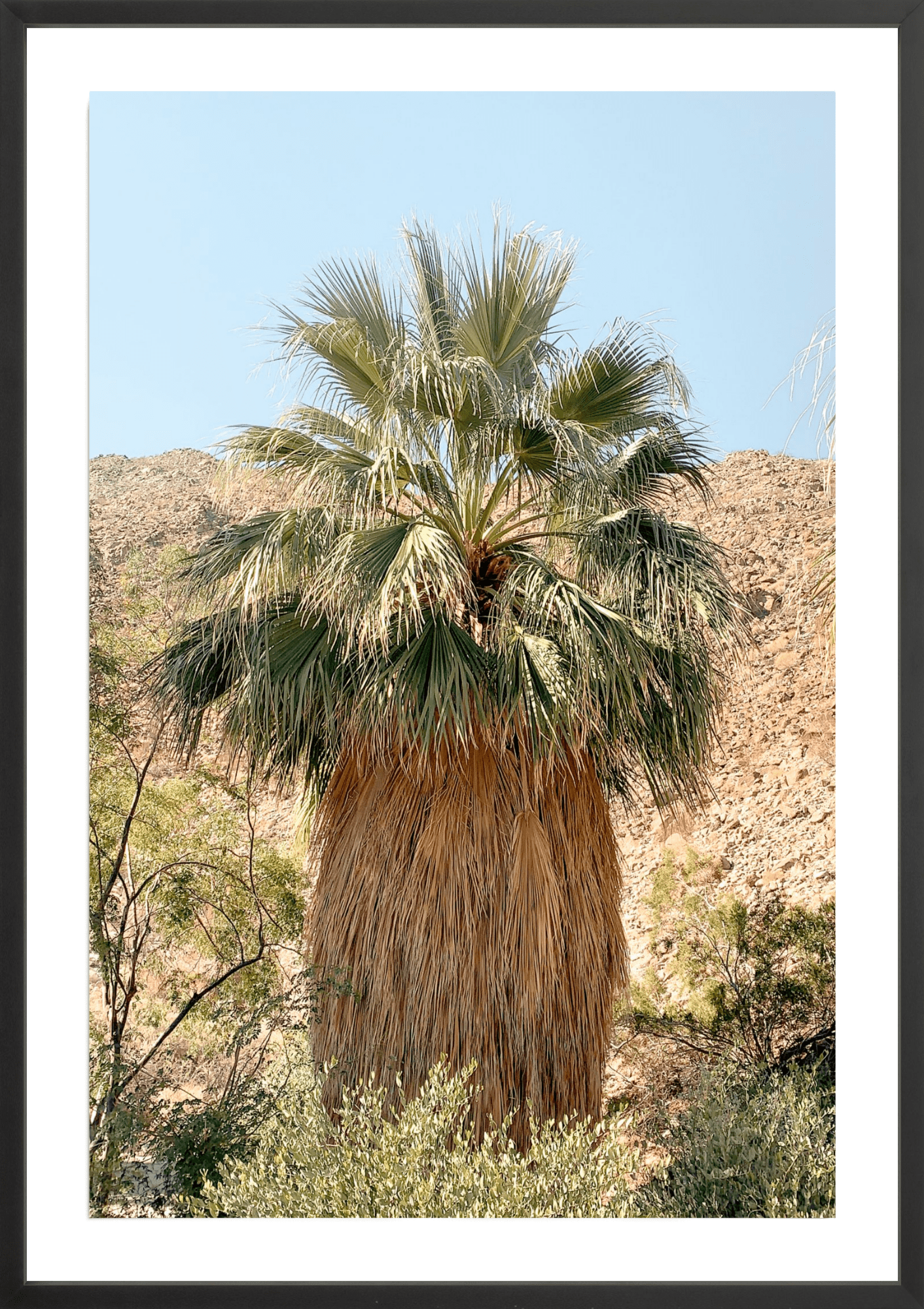 Old Man, Jules Frazier Fine Art Photograph