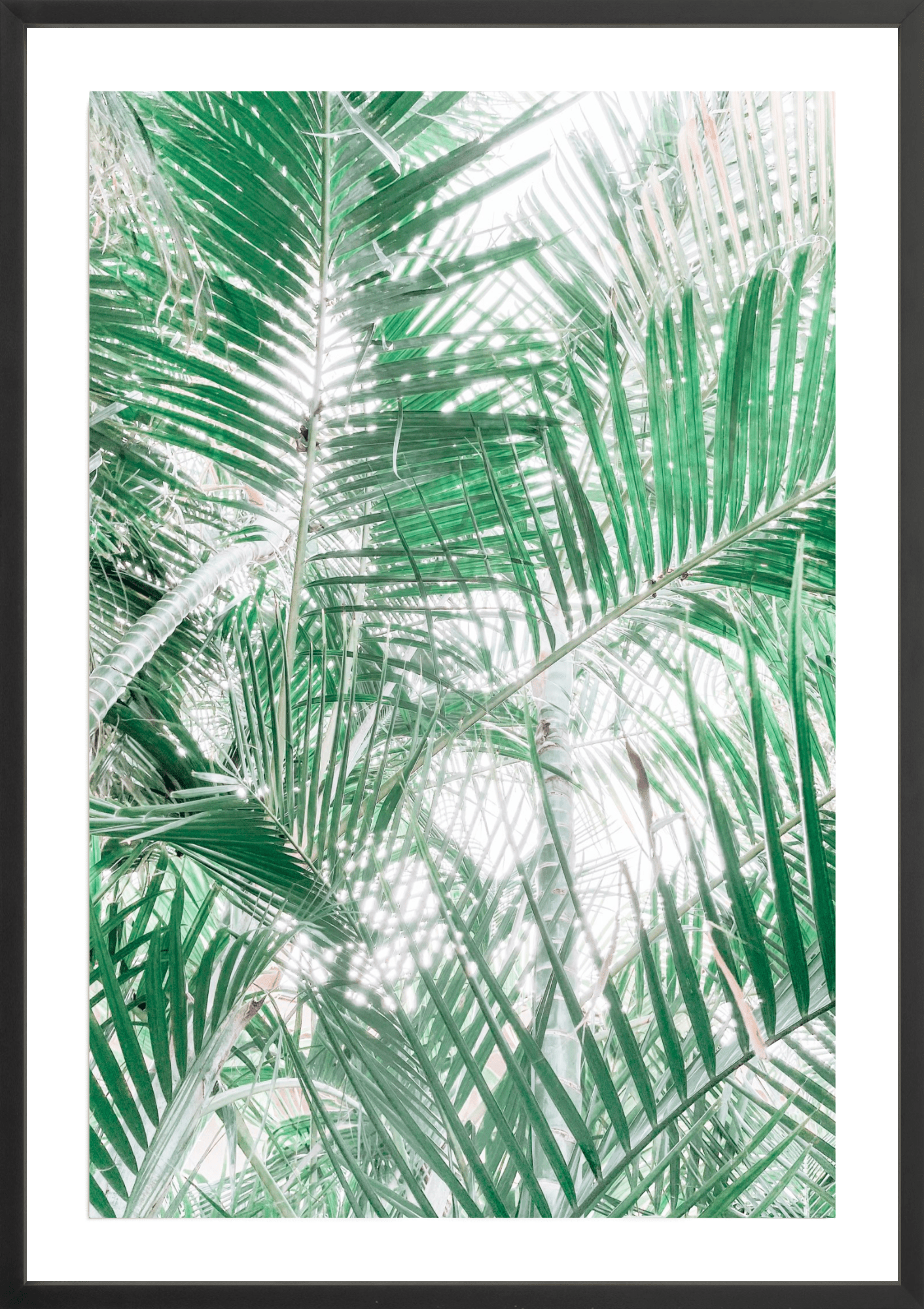Paia Palms 2, Jules Frazier Fine Art Photograph