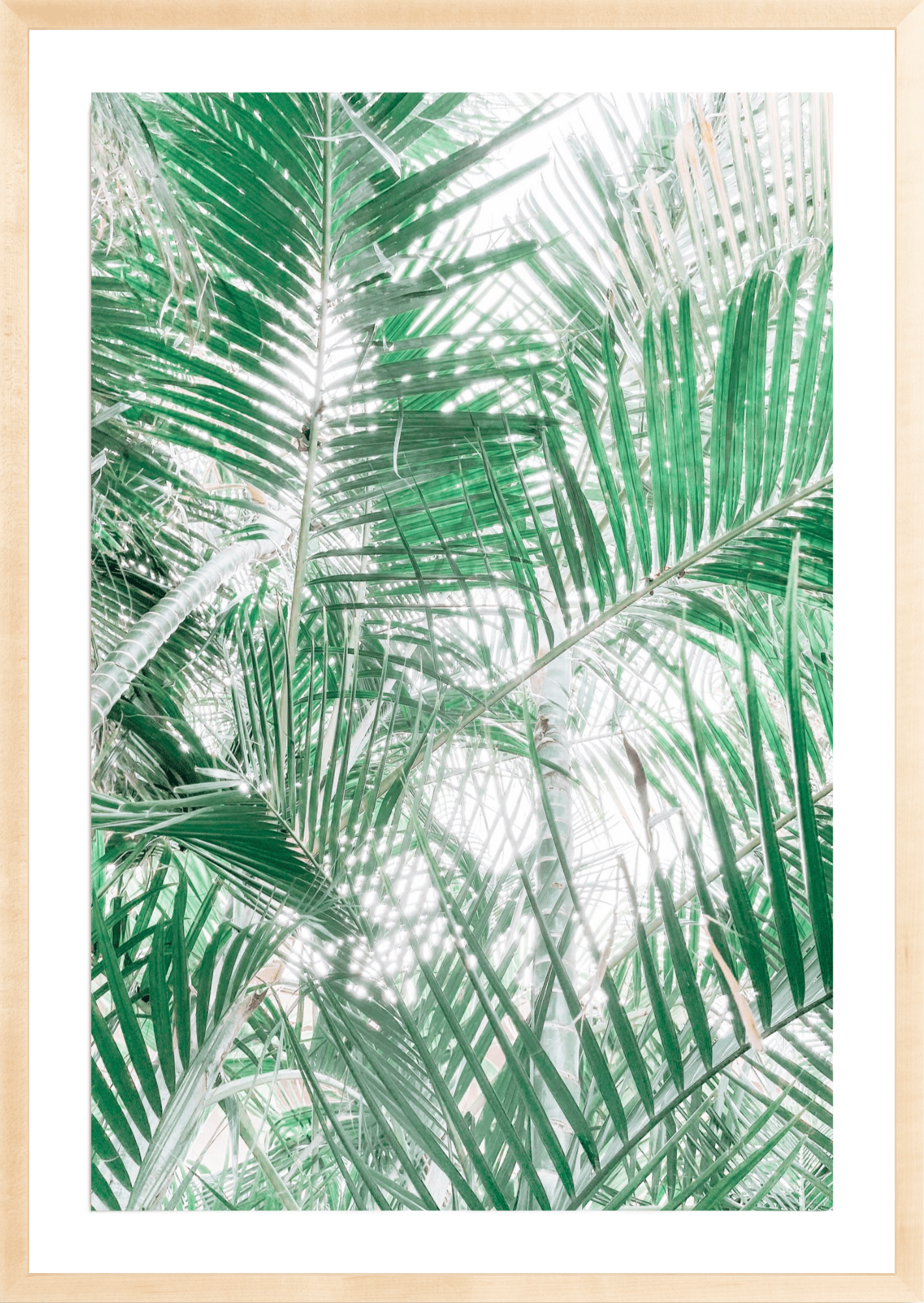 Paia Palms 2, Jules Frazier Fine Art Photograph