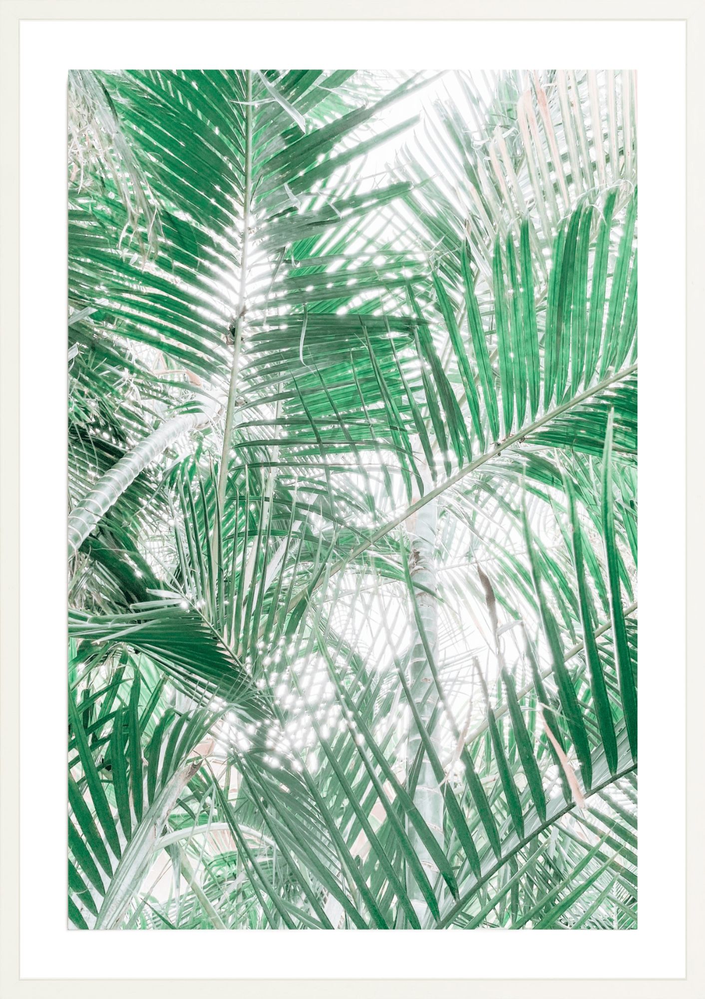 Paia Palms 2, Jules Frazier Fine Art Photograph