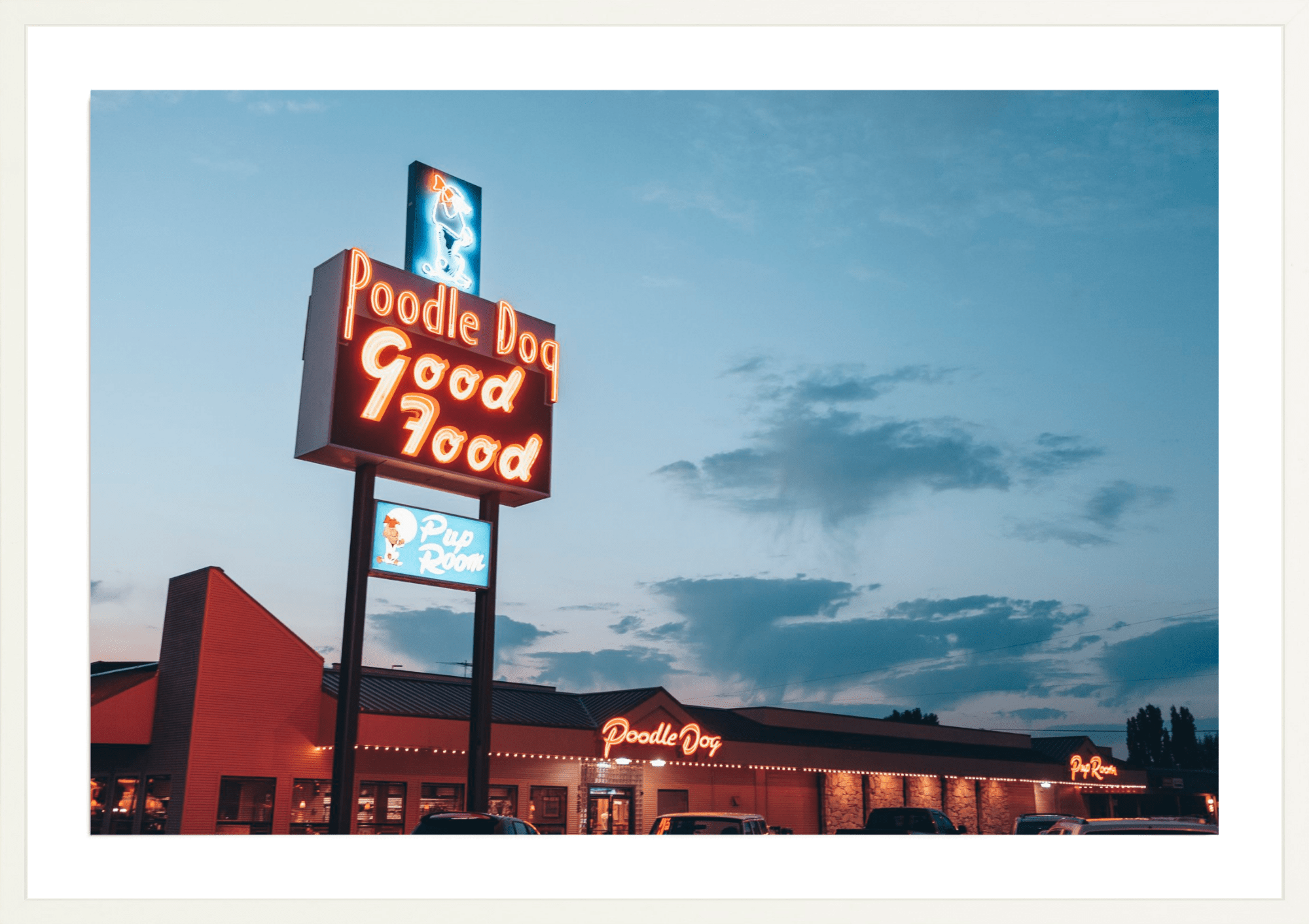 Poodle Dog Pup Room, Jules Frazier Fine Art Photograph