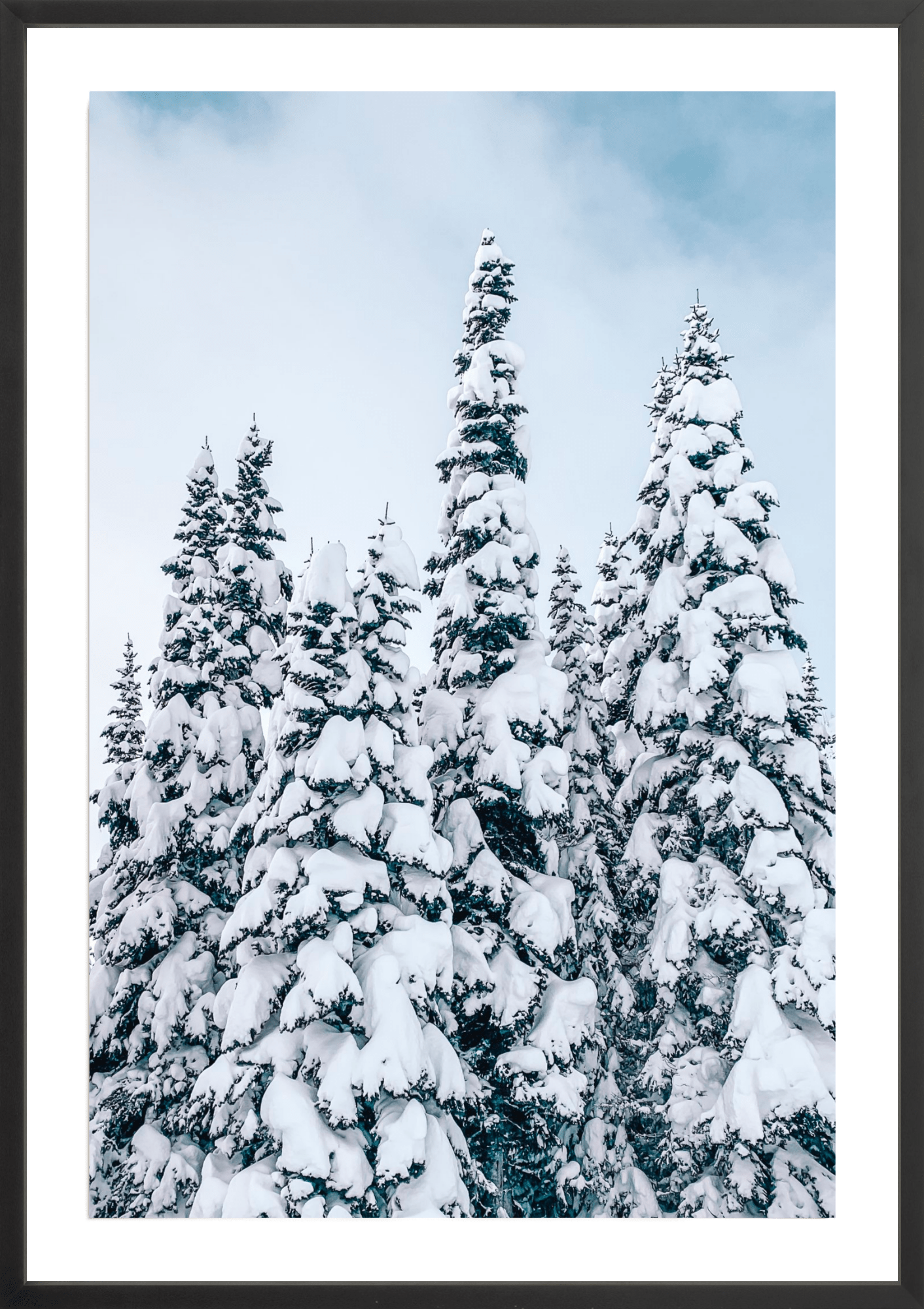 Snowy Trees 1, Jules Frazier Fine Art Photograph