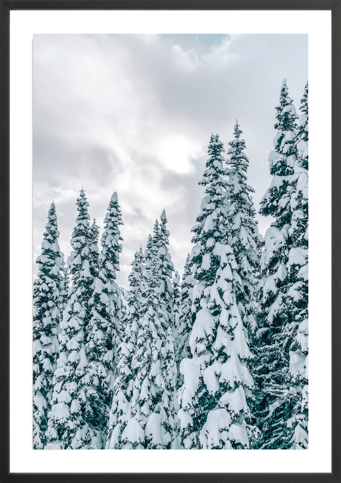 Snowy Trees 2, Jules Frazier Fine Art Photograph