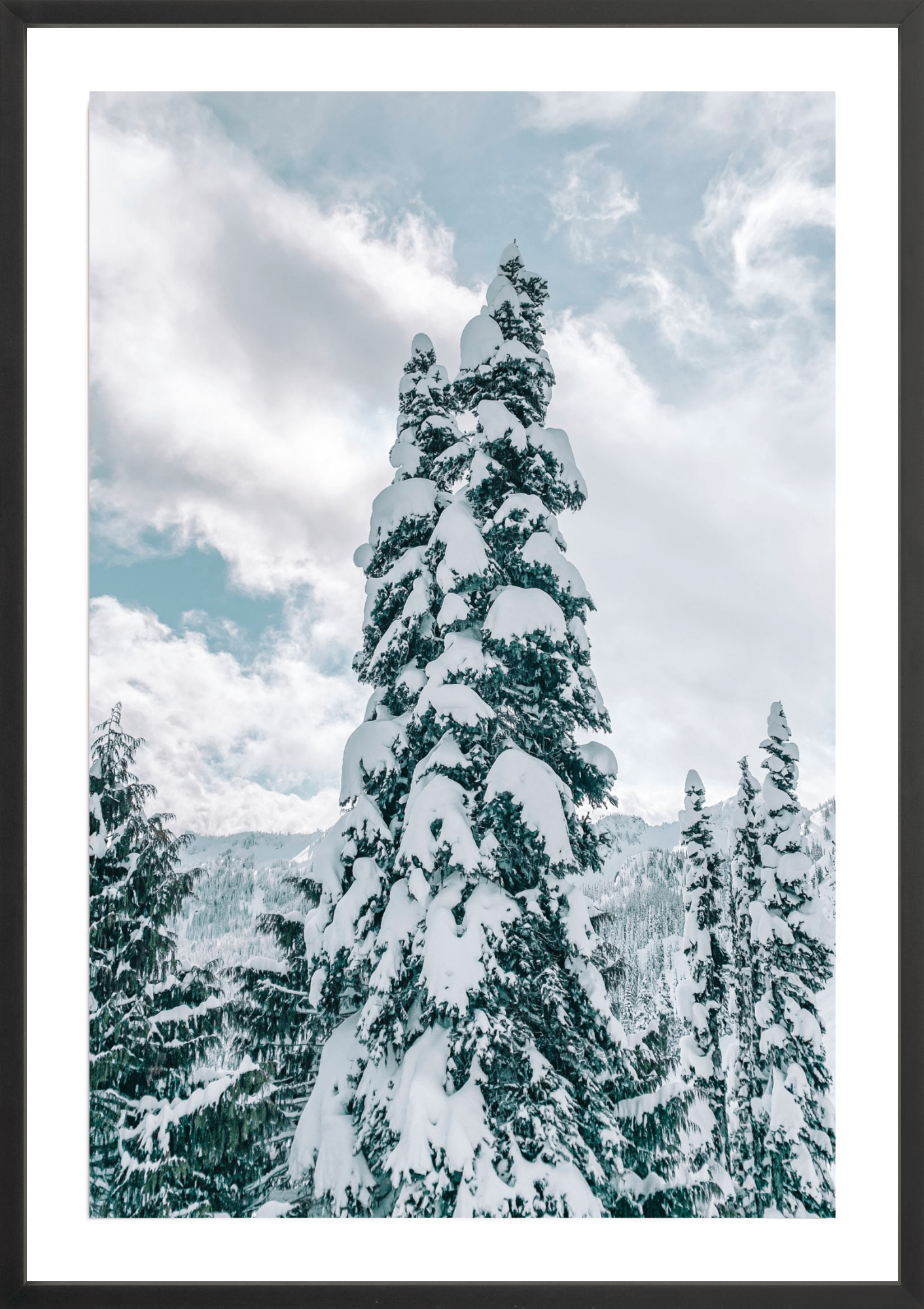 Snowy Trees 3, Jules Frazier Fine Art Photograph