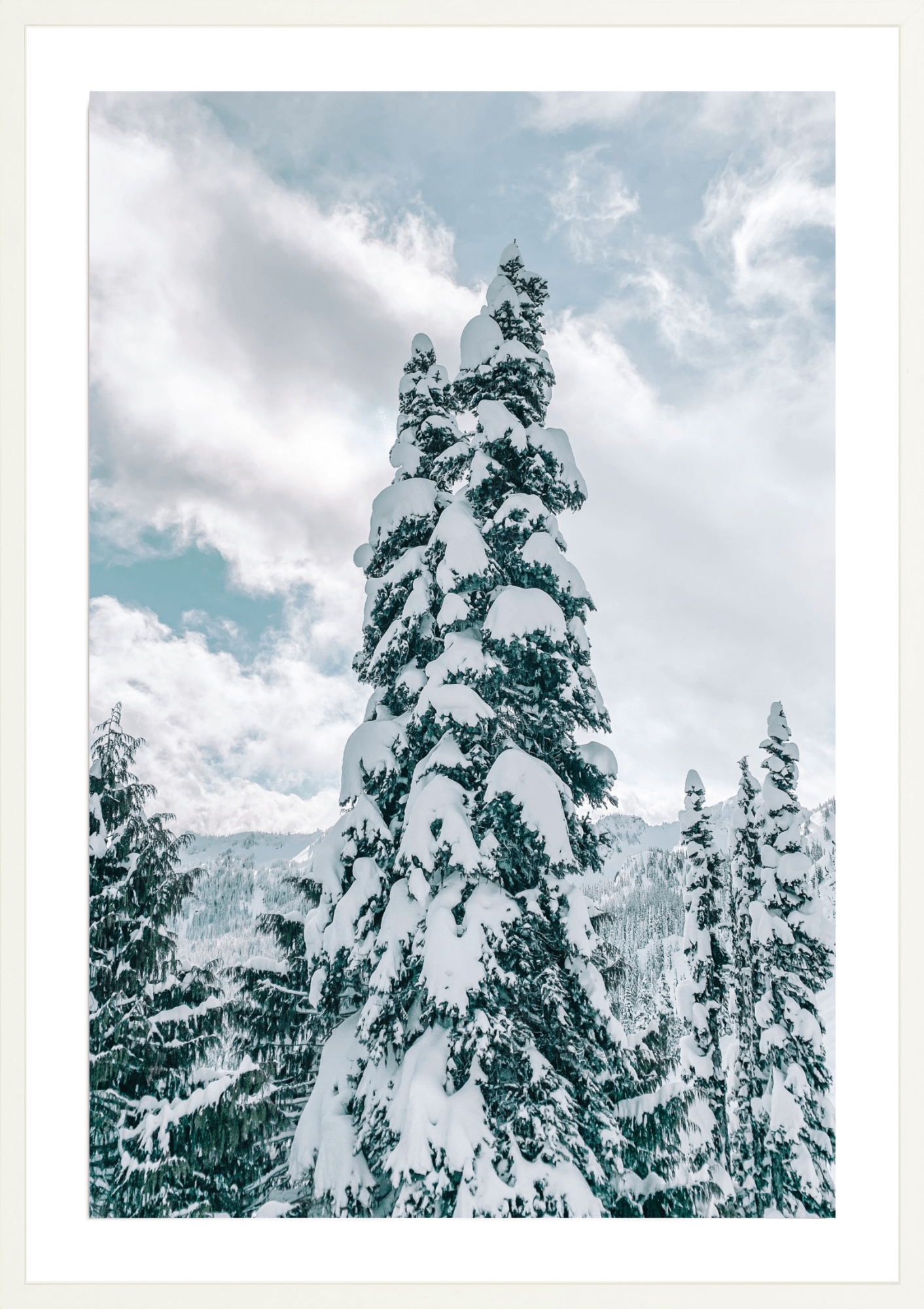 Snowy Trees 3, Jules Frazier Fine Art Photograph