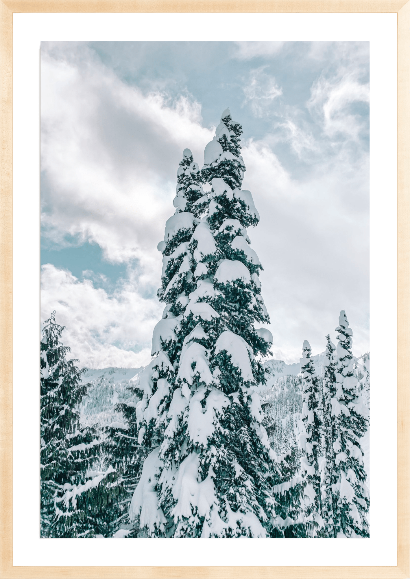 Snowy Trees 3, Jules Frazier Fine Art Photograph