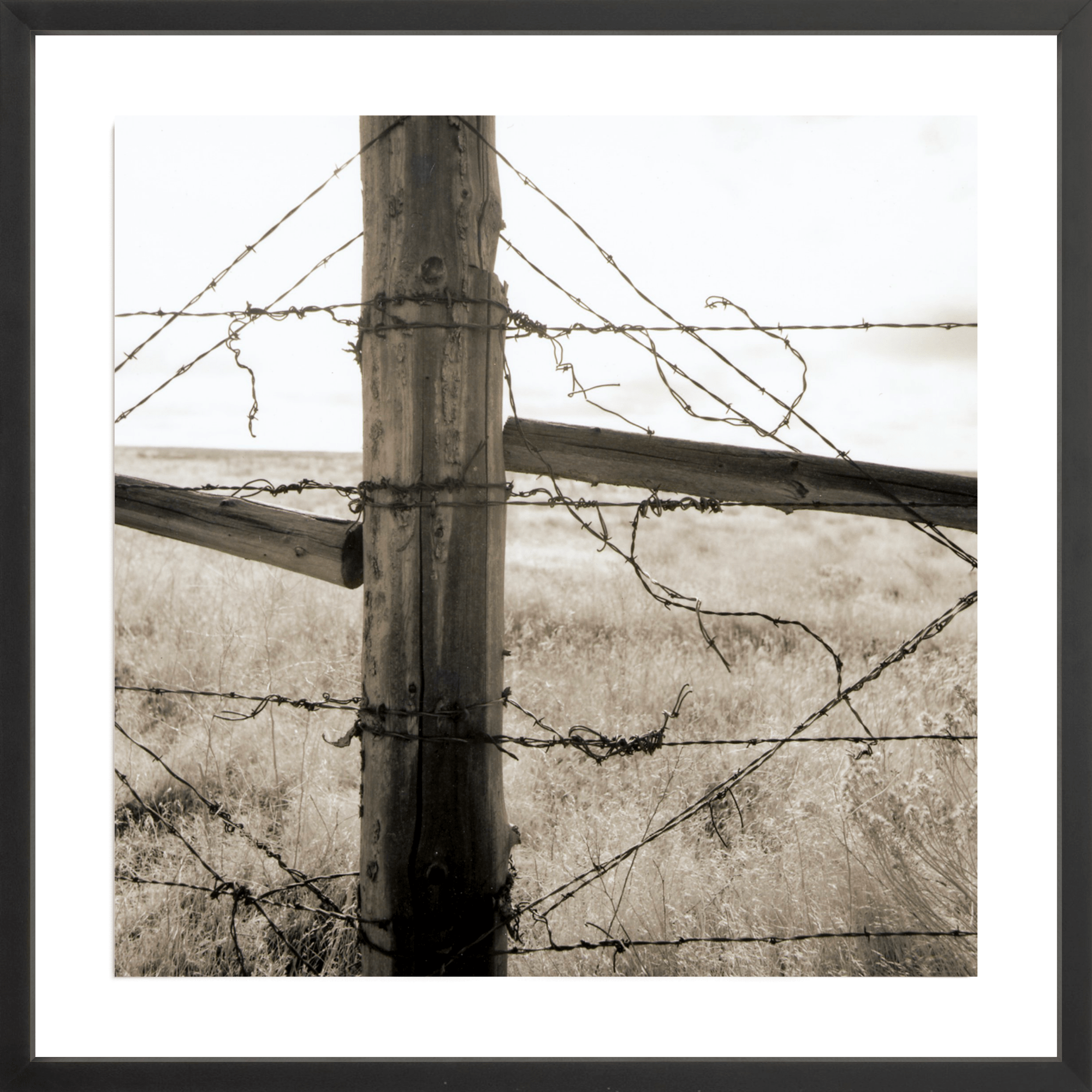 Strands of Barb Wire, Jules Frazier Fine Art Photograph