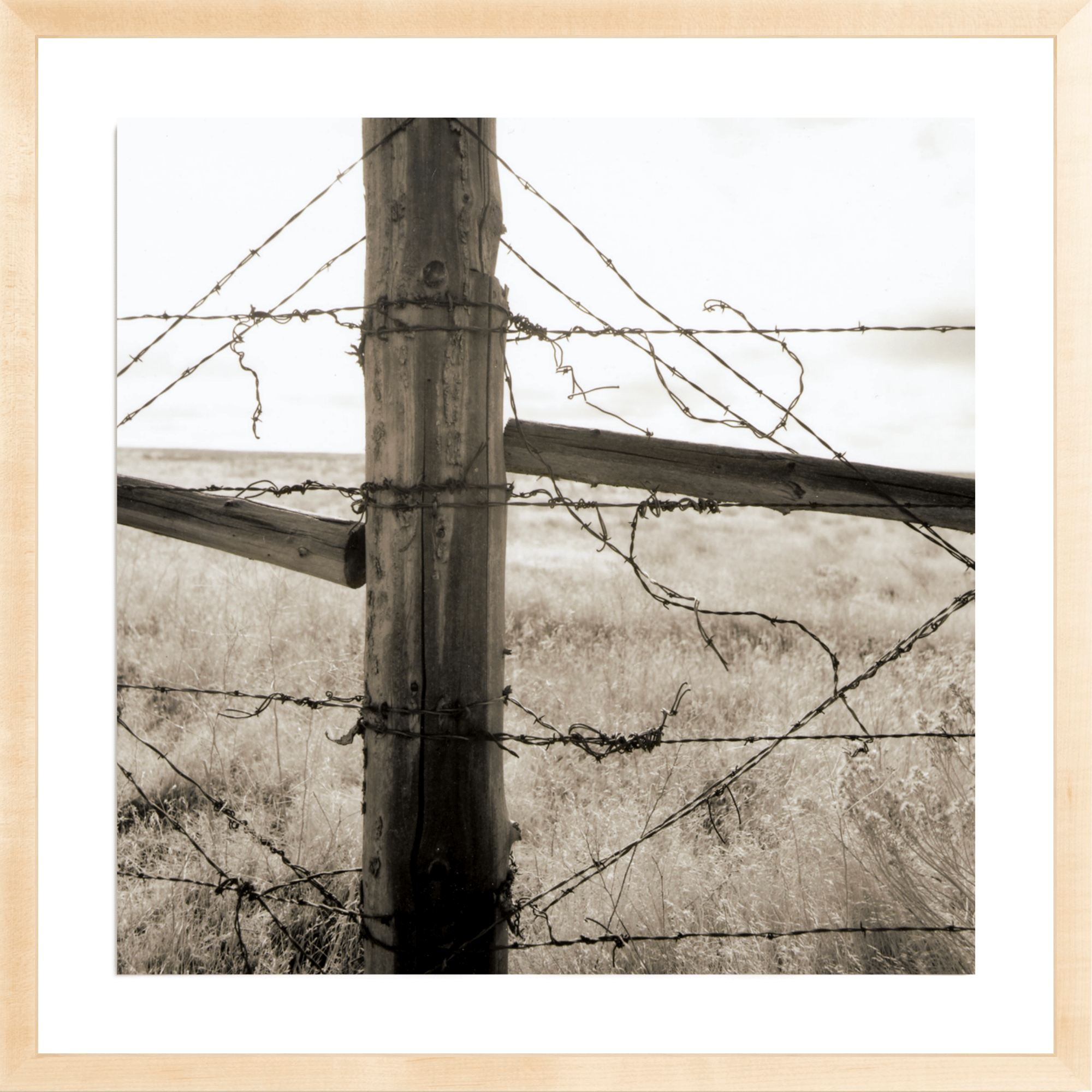 Strands of Barb Wire, Jules Frazier Fine Art Photograph