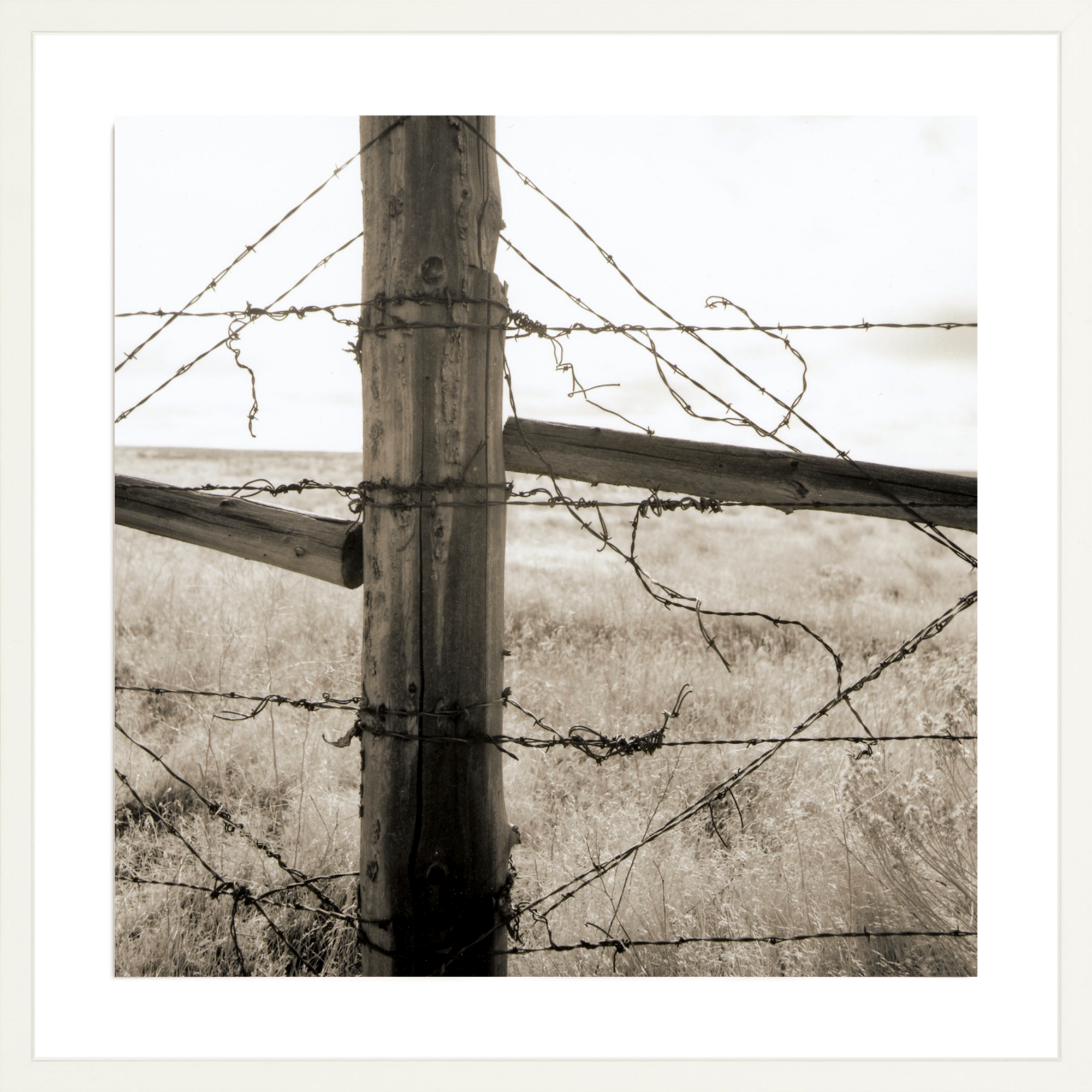 Strands of Barb Wire, Jules Frazier Fine Art Photograph