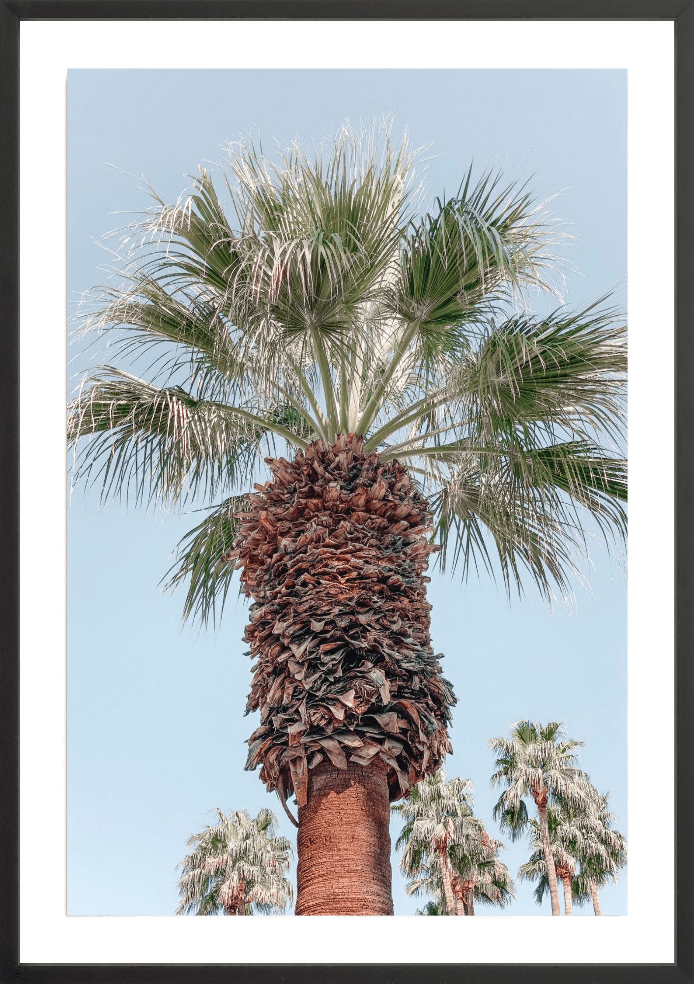 Symmetry, Jules Frazier Fine Art Photograph