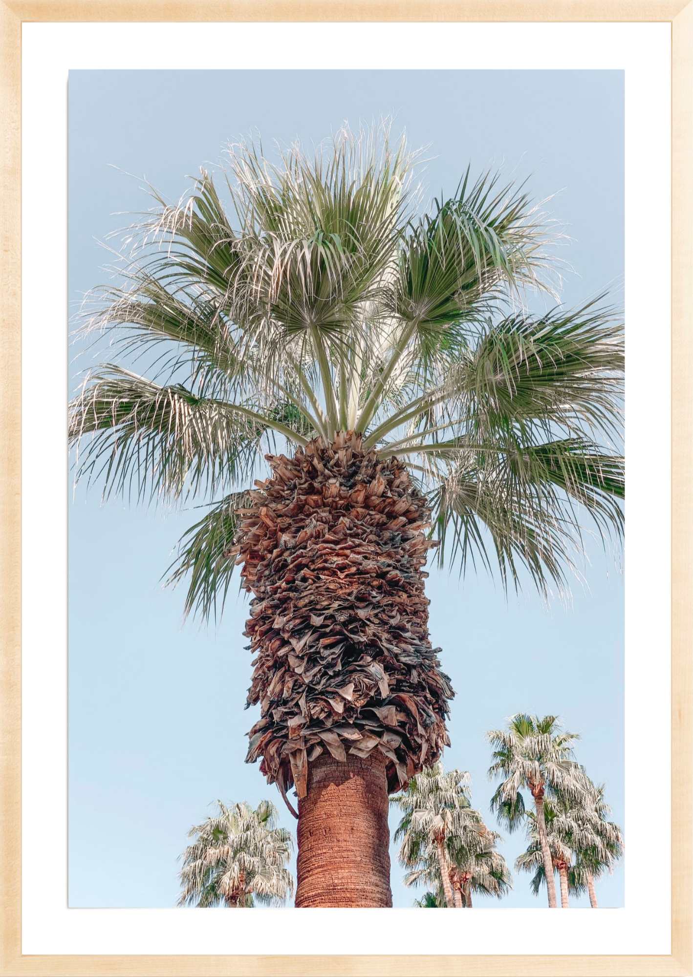 Symmetry, Jules Frazier Fine Art Photograph