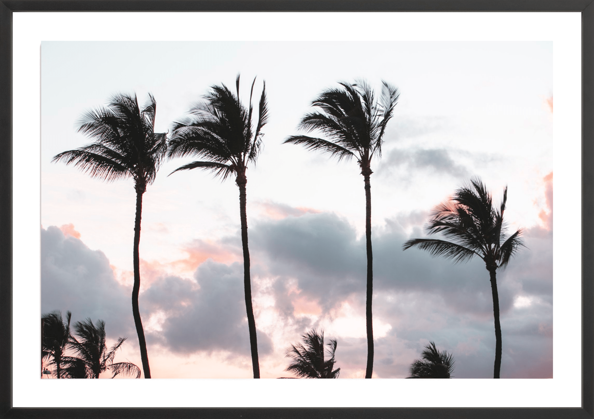 Tradewinds, Jules Frazier Fine Art Photograph