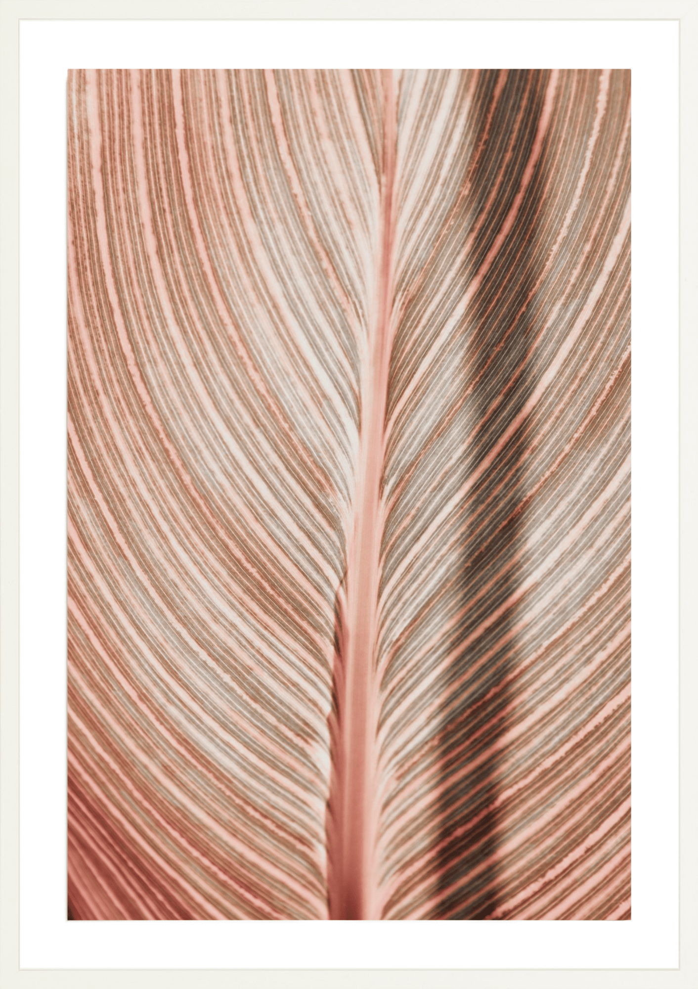 Tropicana Abstract, Jules Frazier Fine Art Photograph