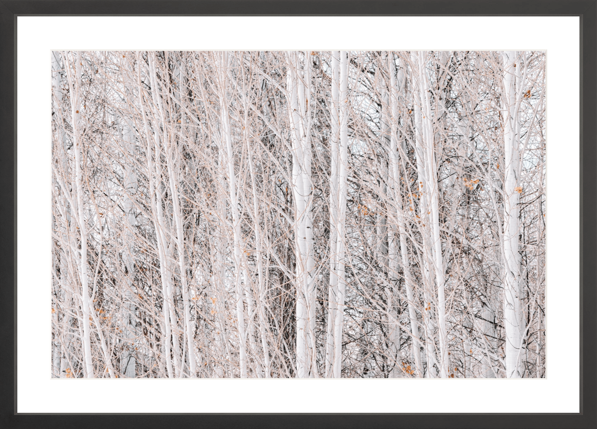 Rose Colored Glasses, Jules Frazier Fine Art Photograph