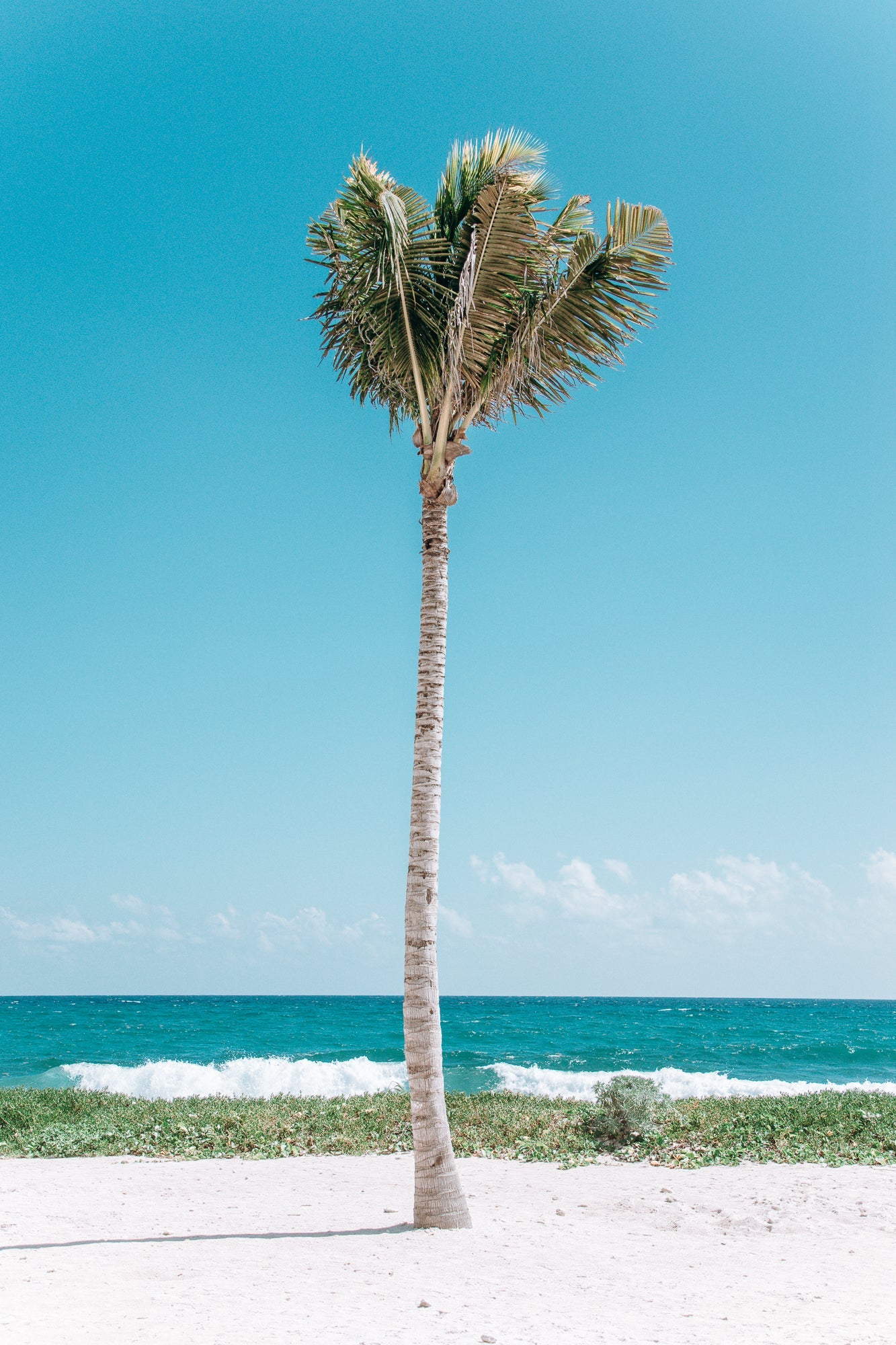 Alone in Tulum, Jules Frazier Fine Art Photograph
