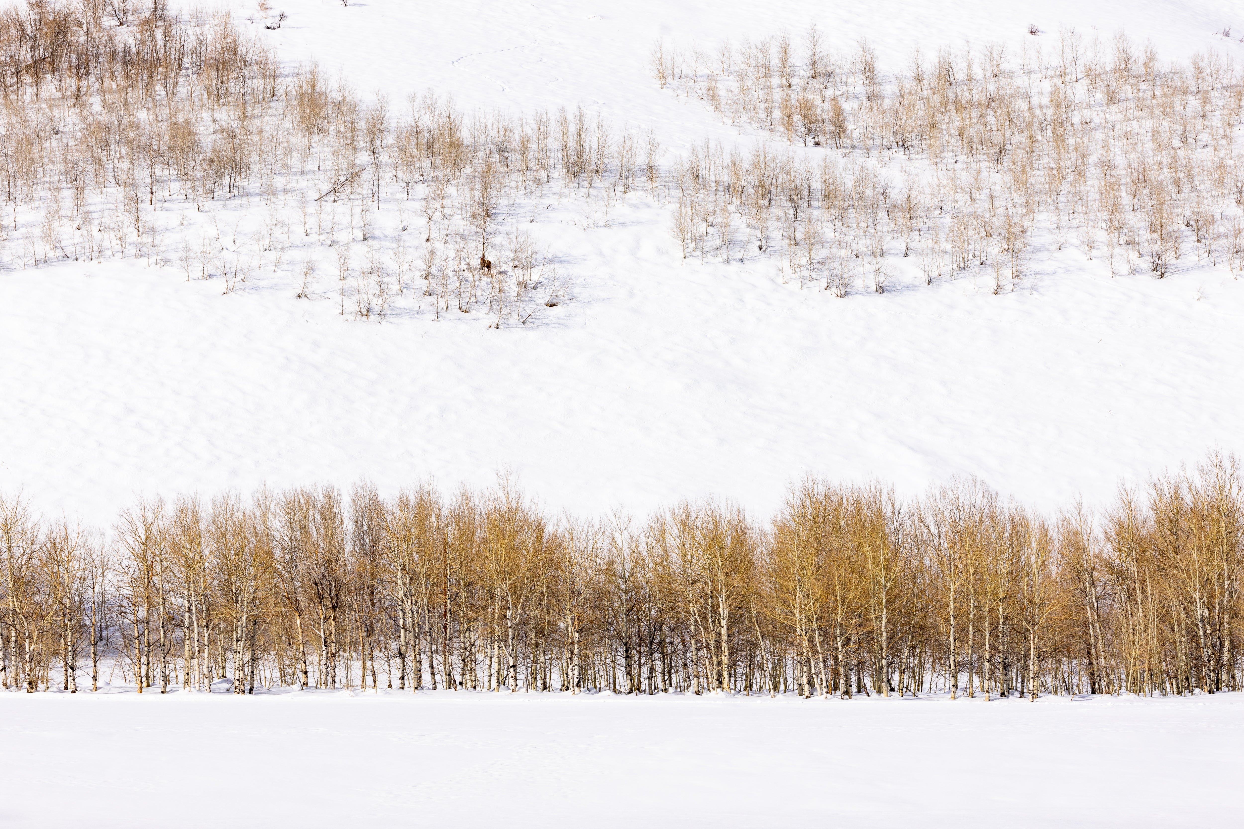 Alone Time, Jules Frazier Fine Art Photograph
