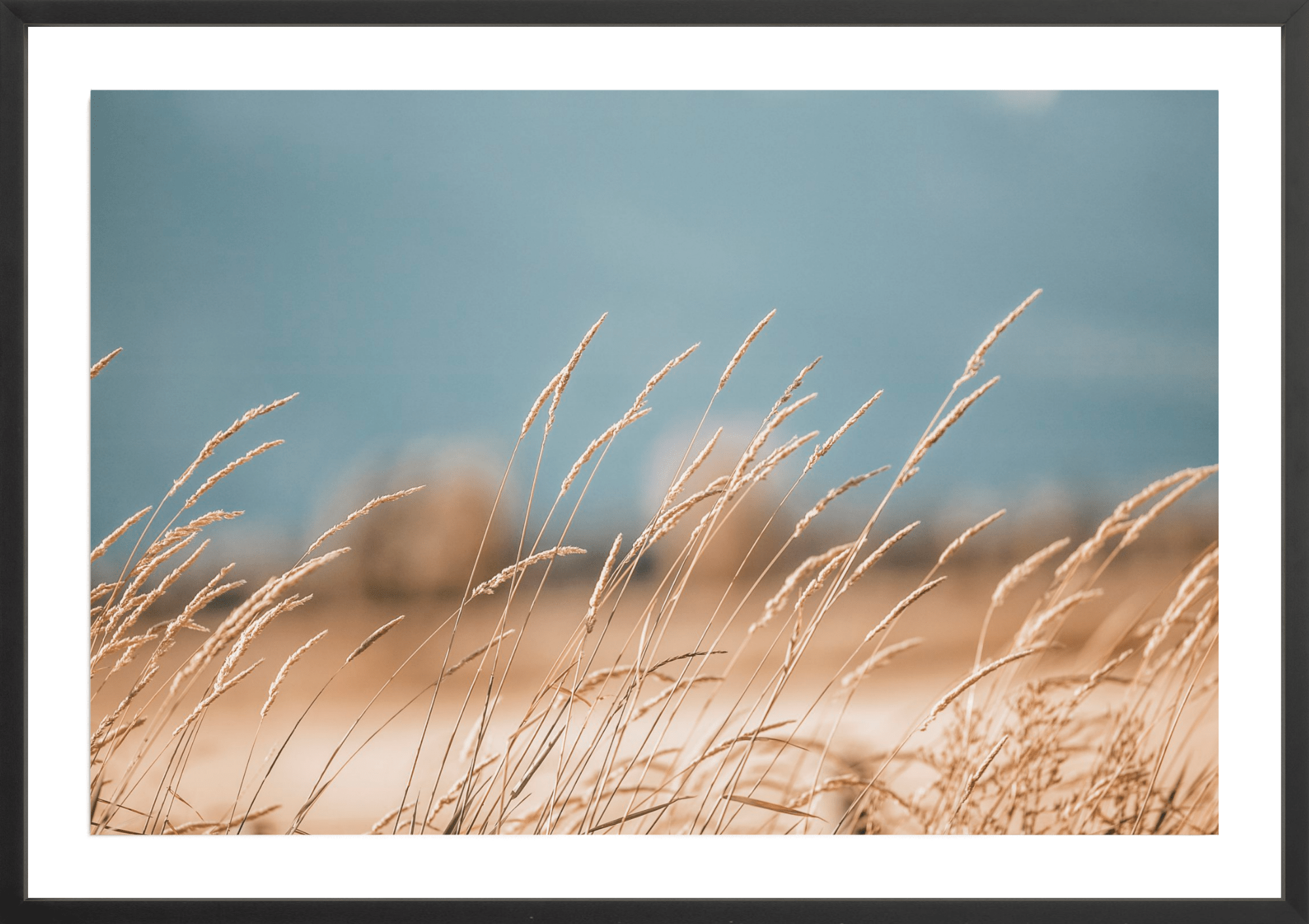 Grass of Yellowstone, Jules Frazier Fine Art Photograph