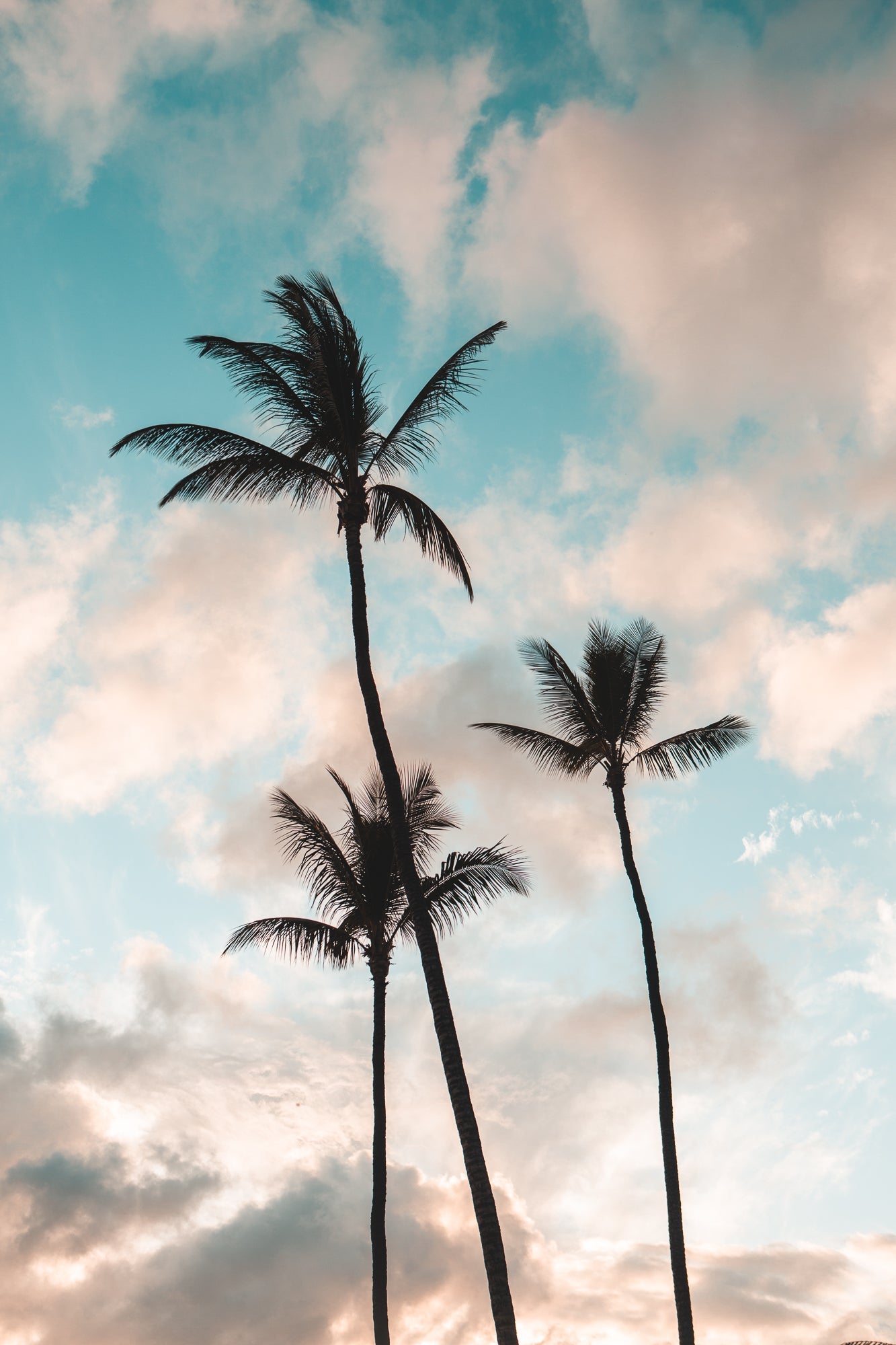 Bliss, Jules Frazier Fine Art Photograph