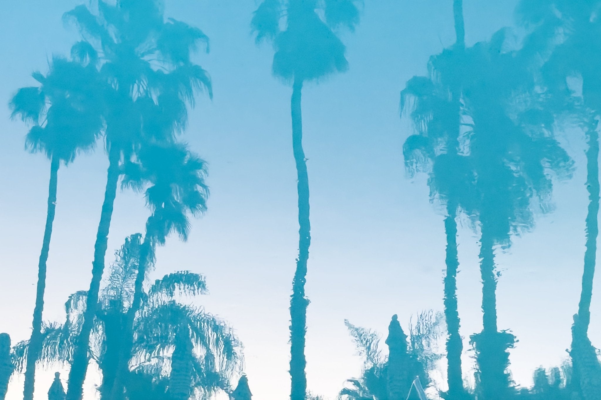 Colony Pool Palms, Jules Frazier Fine Art Photograph